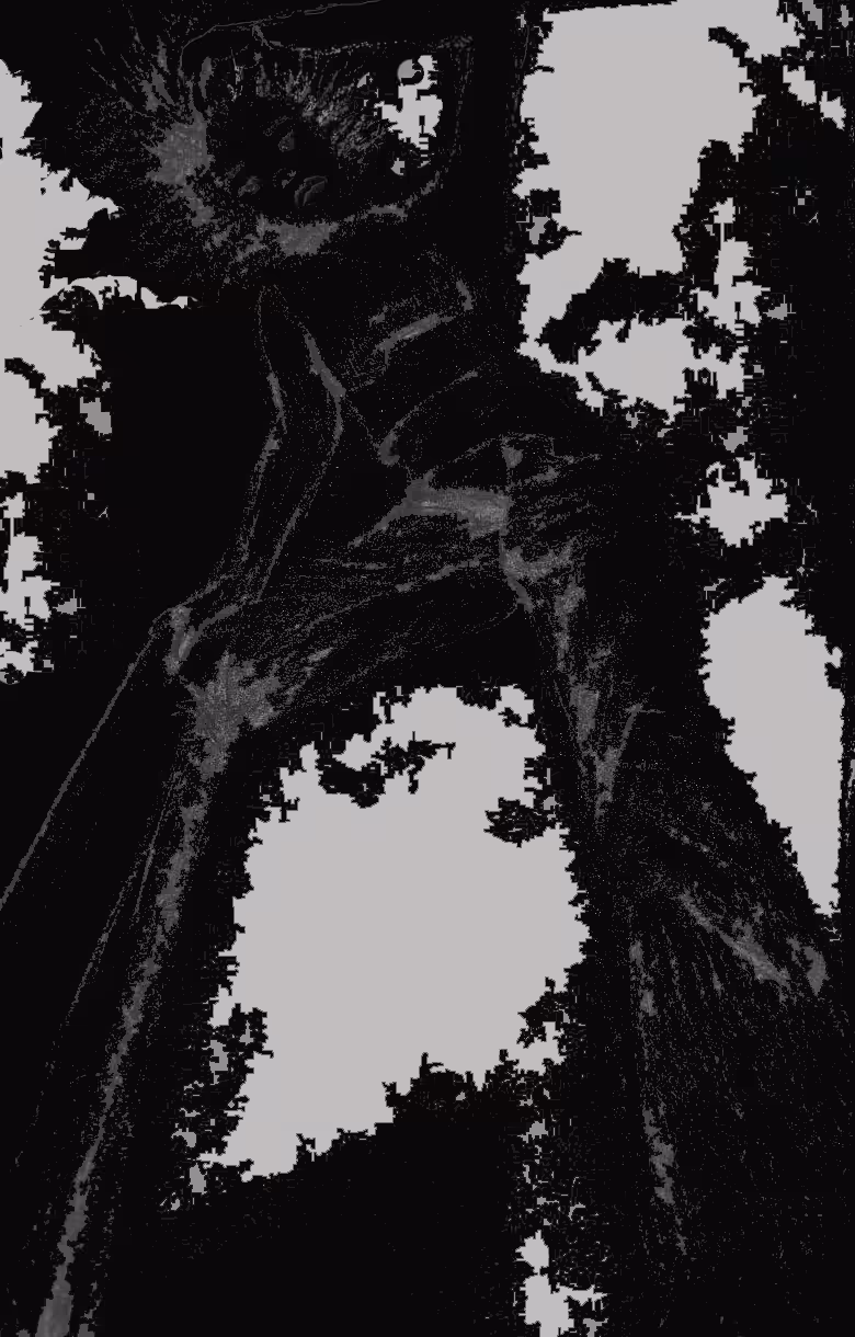 I Am Rising, See It