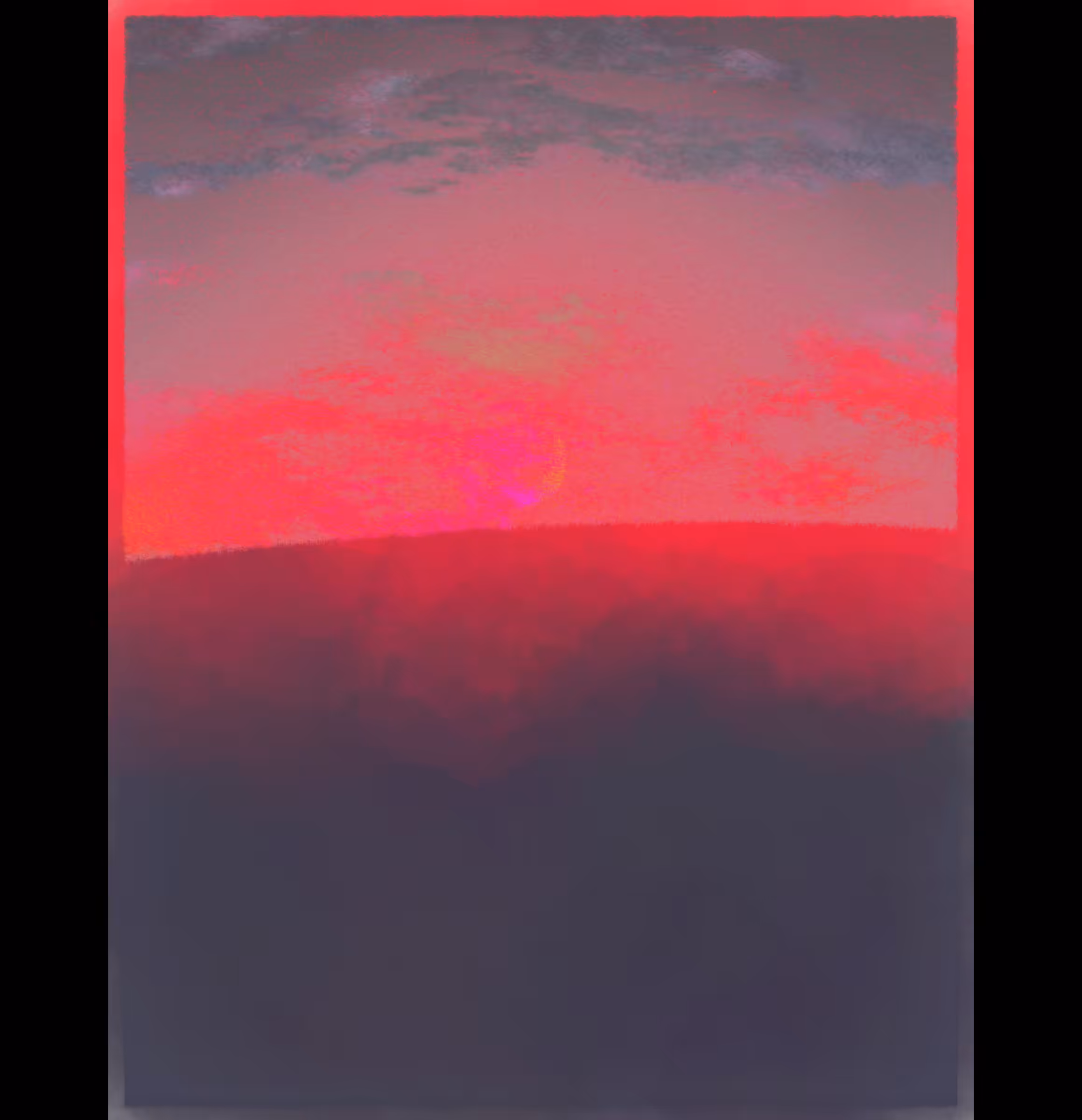 Island Mist #563