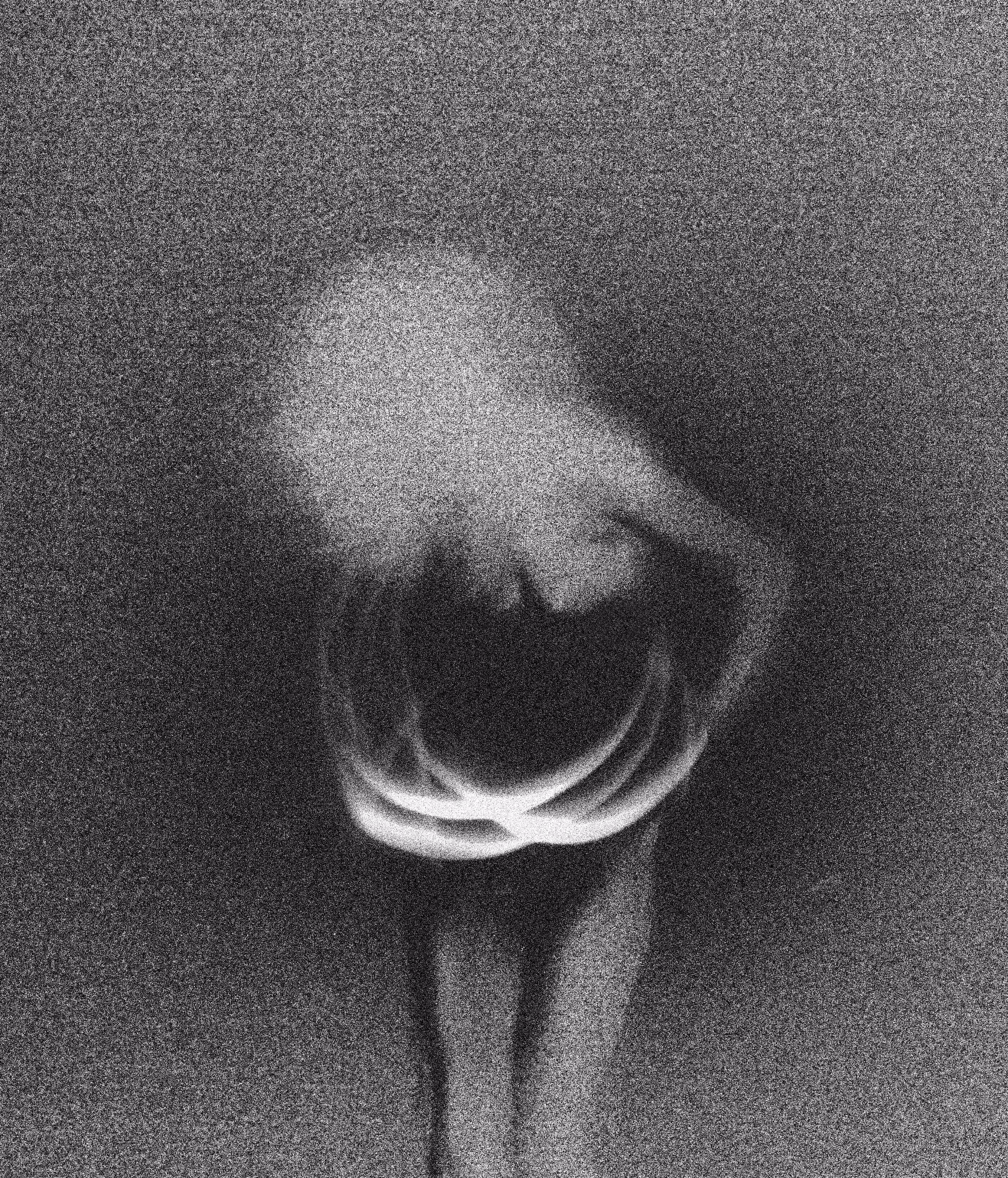 Elizabedsh
