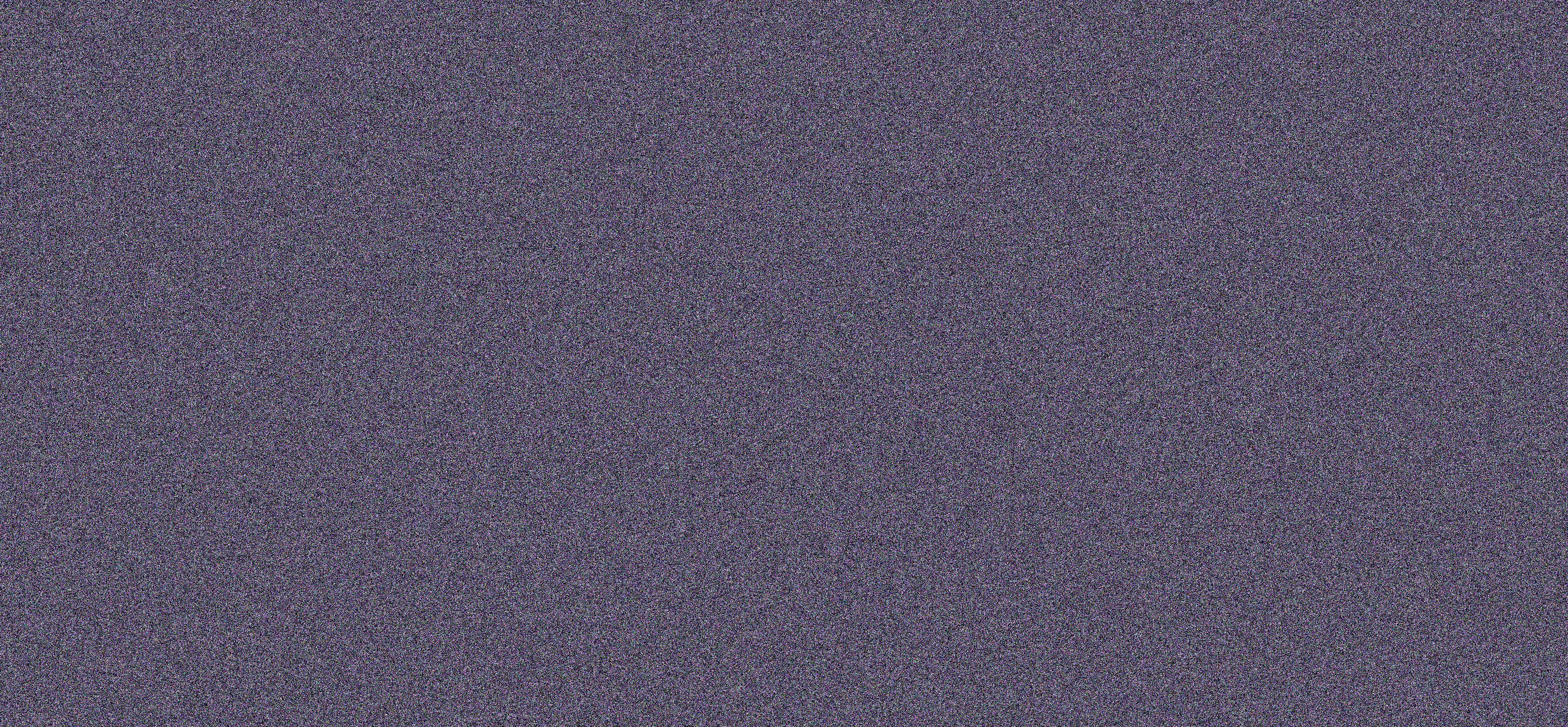 WE ARE NOISE