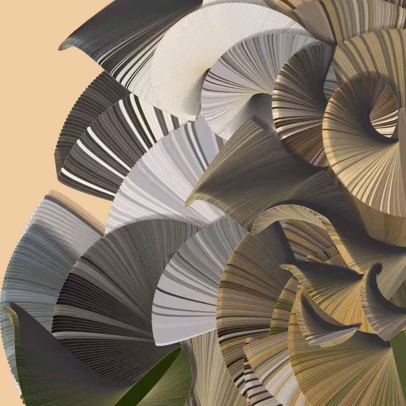 Seashells #40
