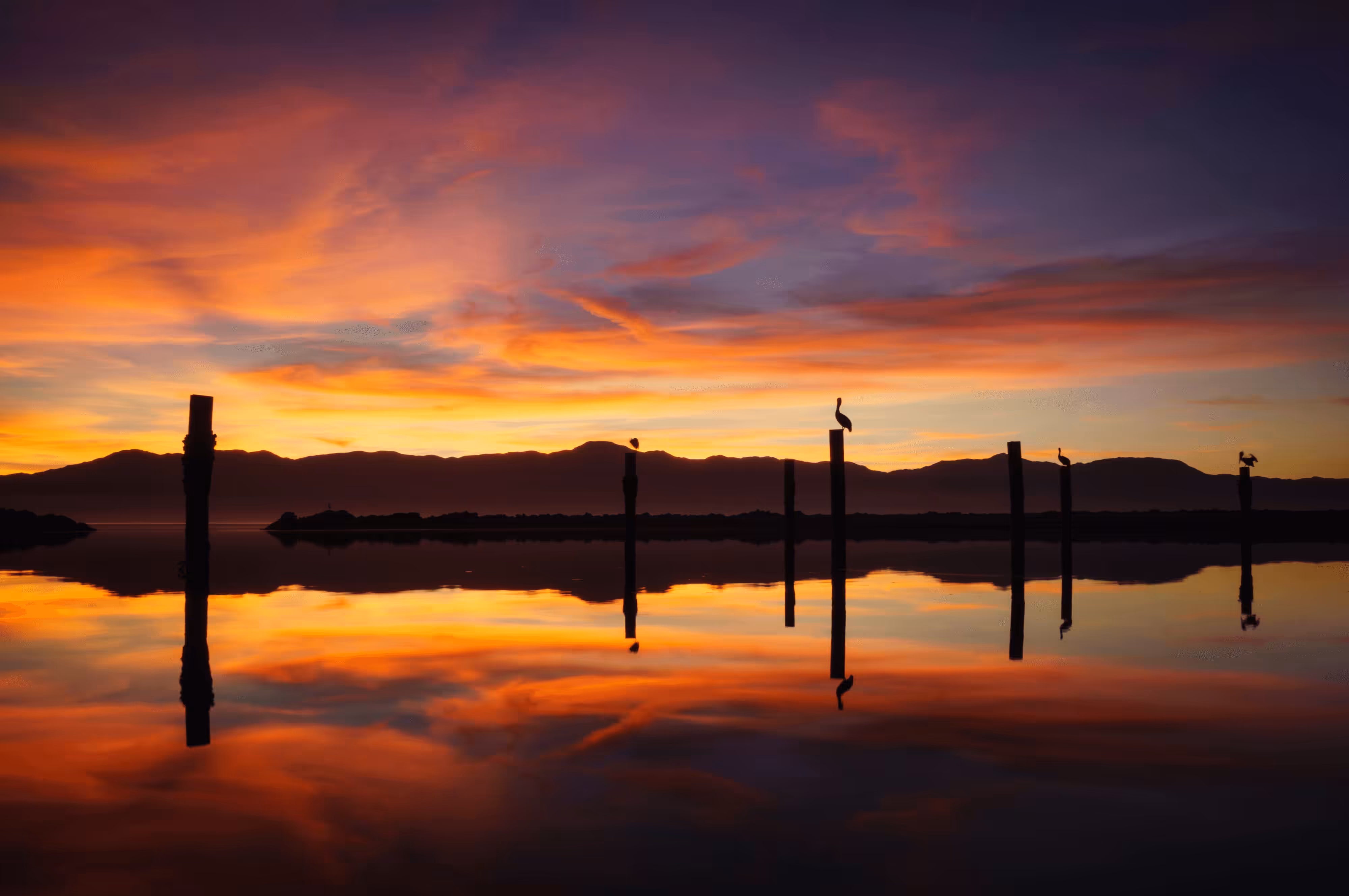 Salton Sea Moments