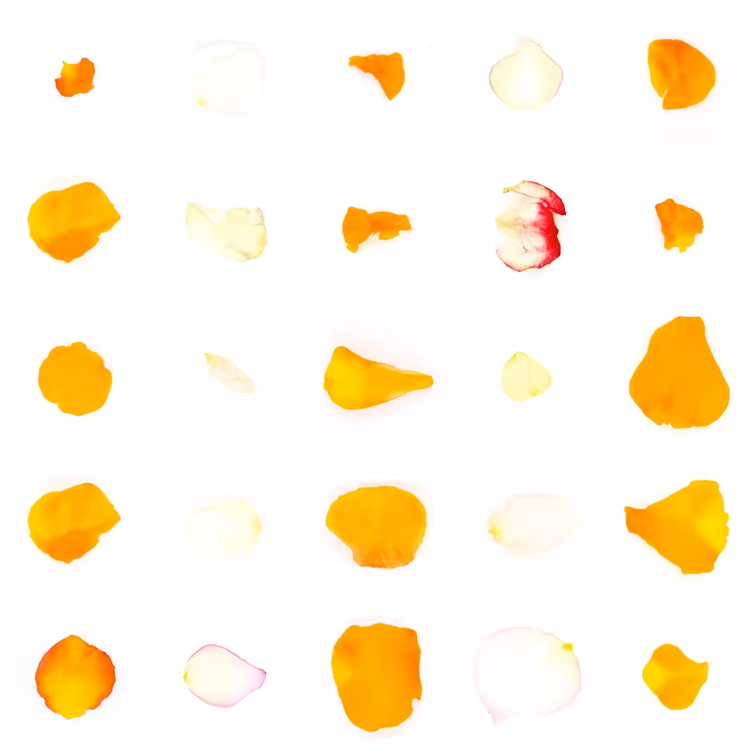 Infinite Petals 5x5#22380