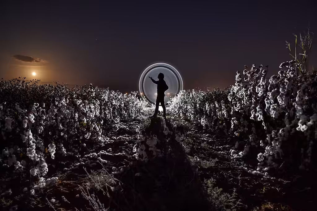 COTTON FIELDS FOREVER