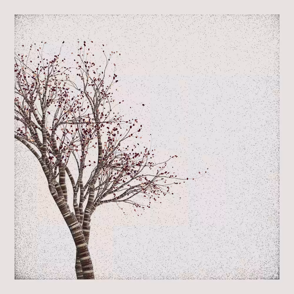 Bougainvillea #79