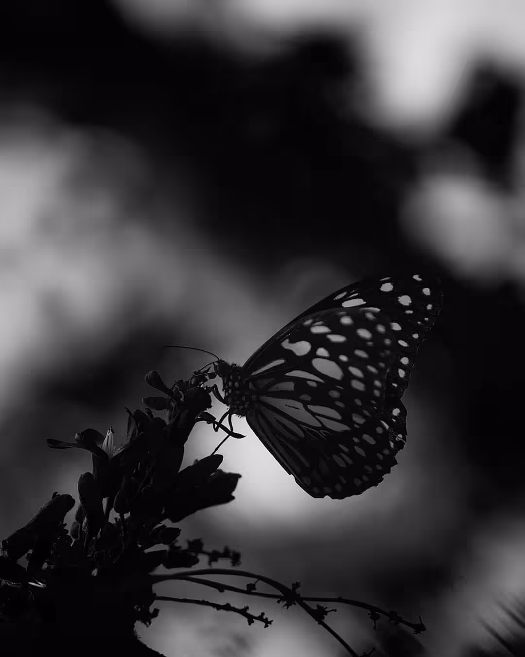 When colours disappear