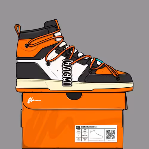 Signature Sneakers Highs #495
