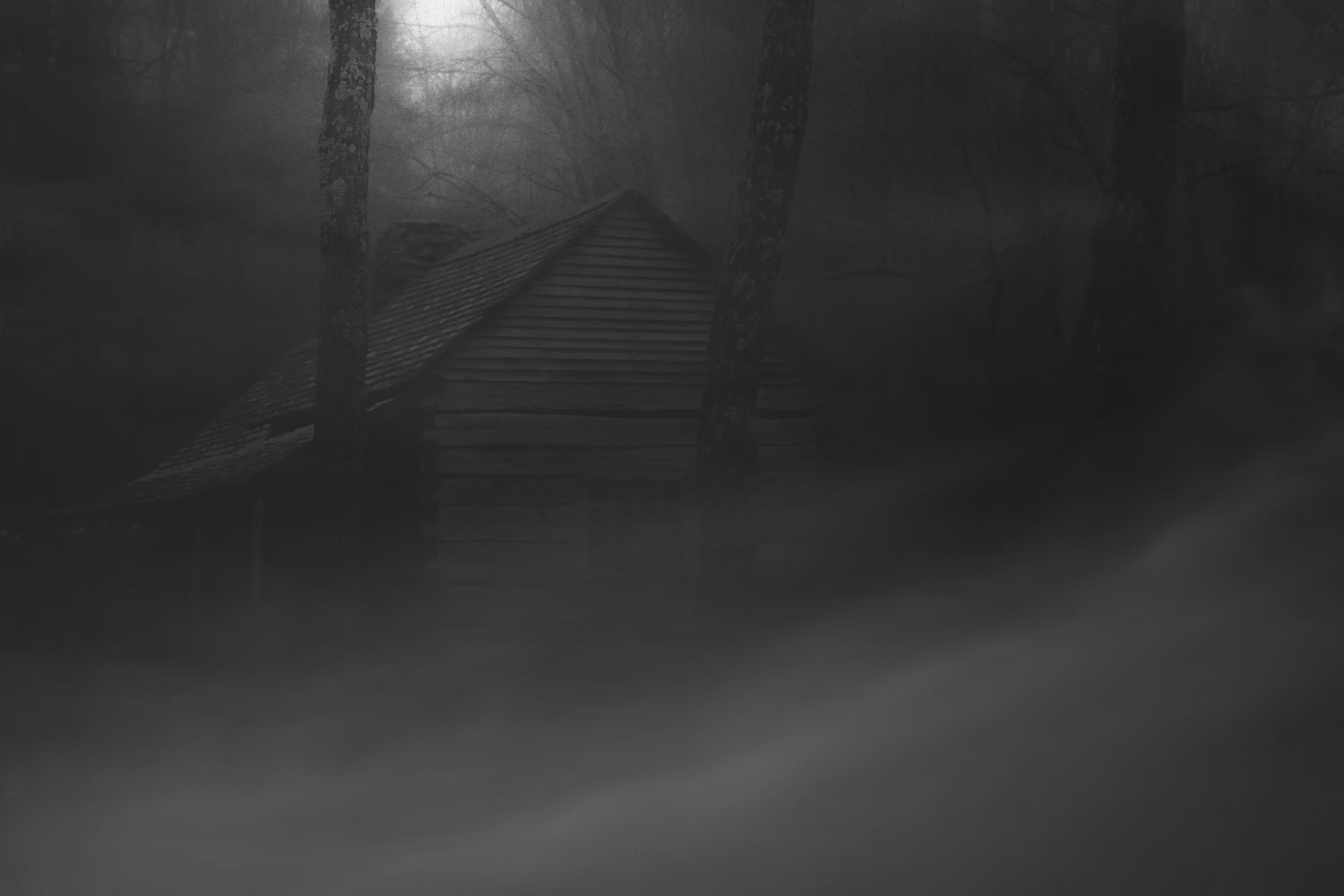 Cabin In The Mist