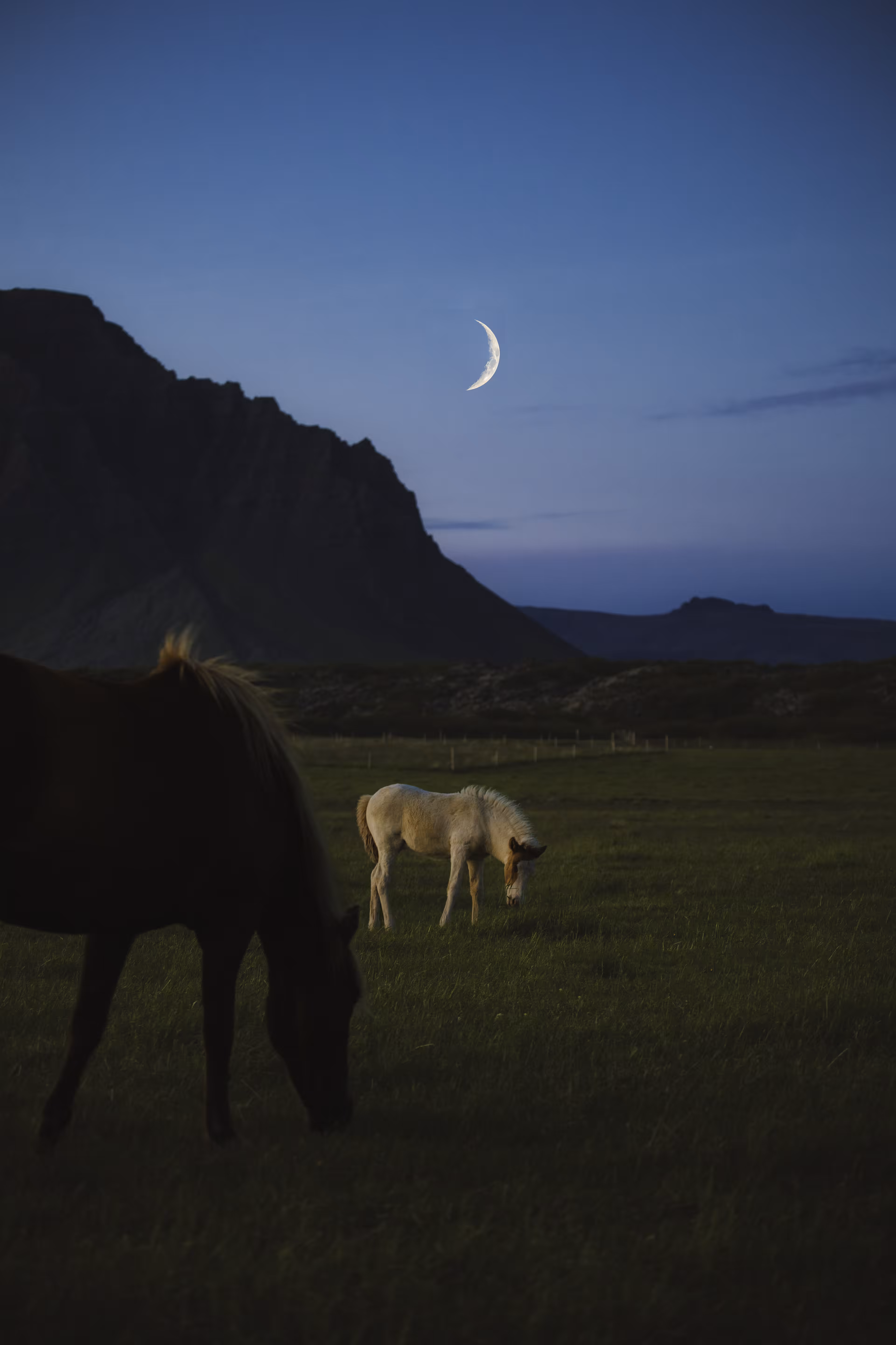 Midnight Moonrise