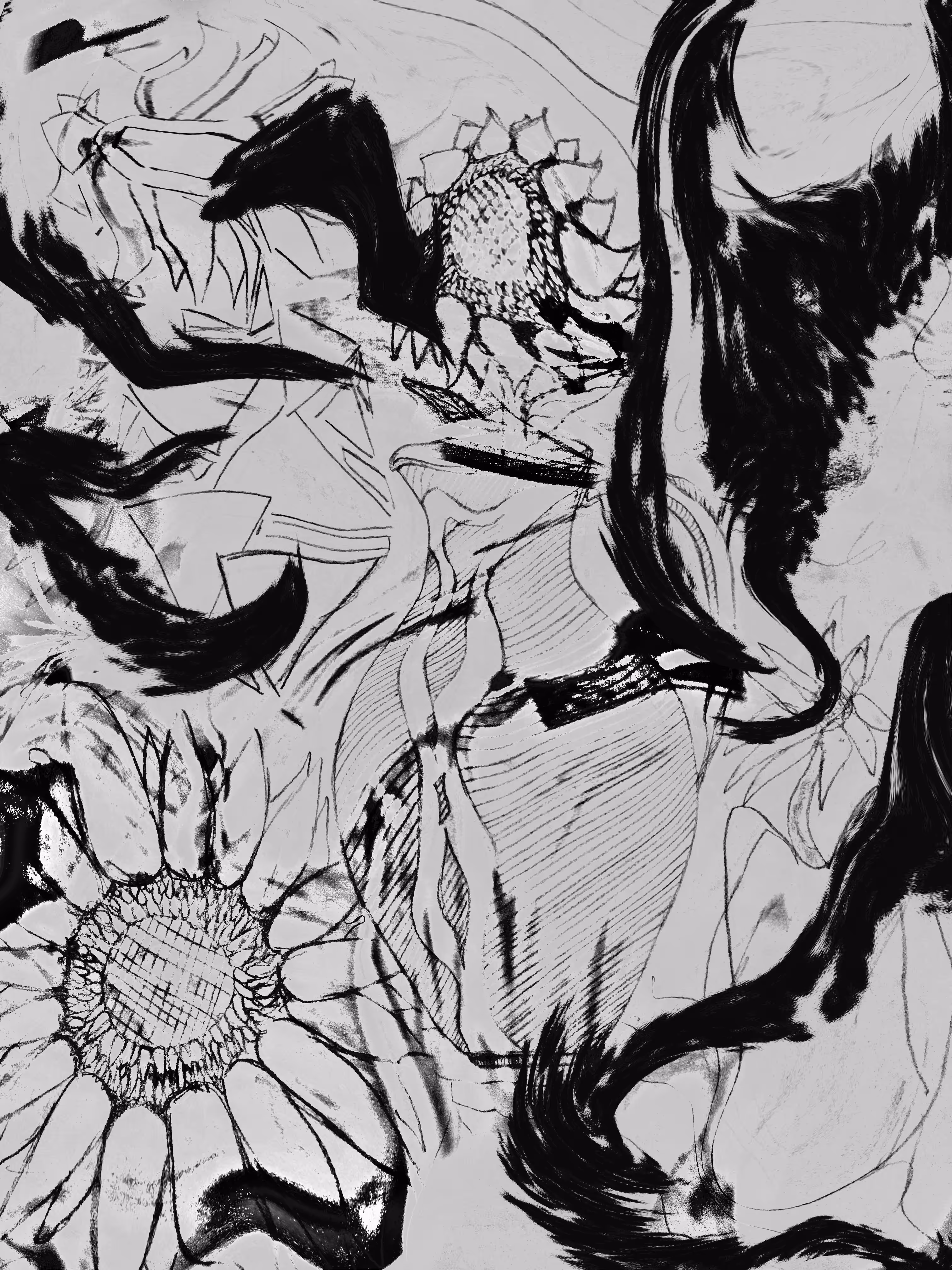 Sun Flower