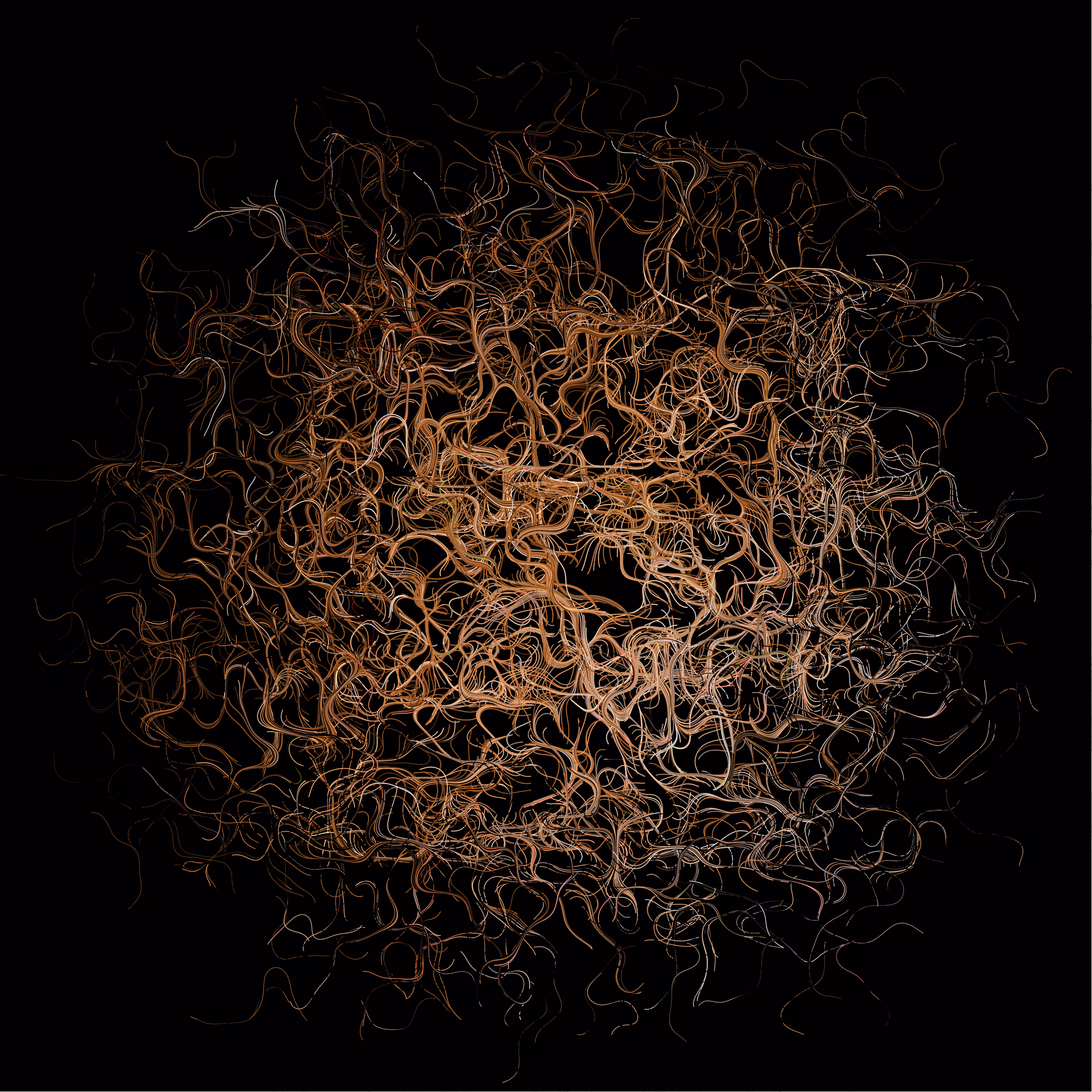 curl.wire.bronze