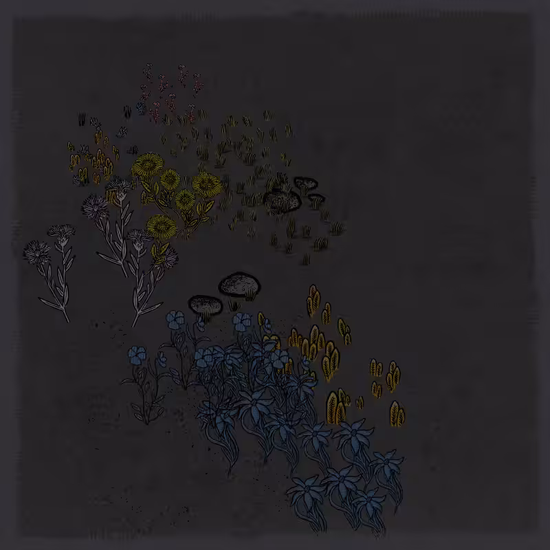 Gardens  #157