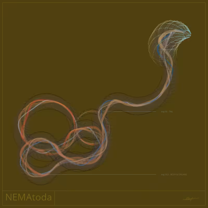 NEMA #22