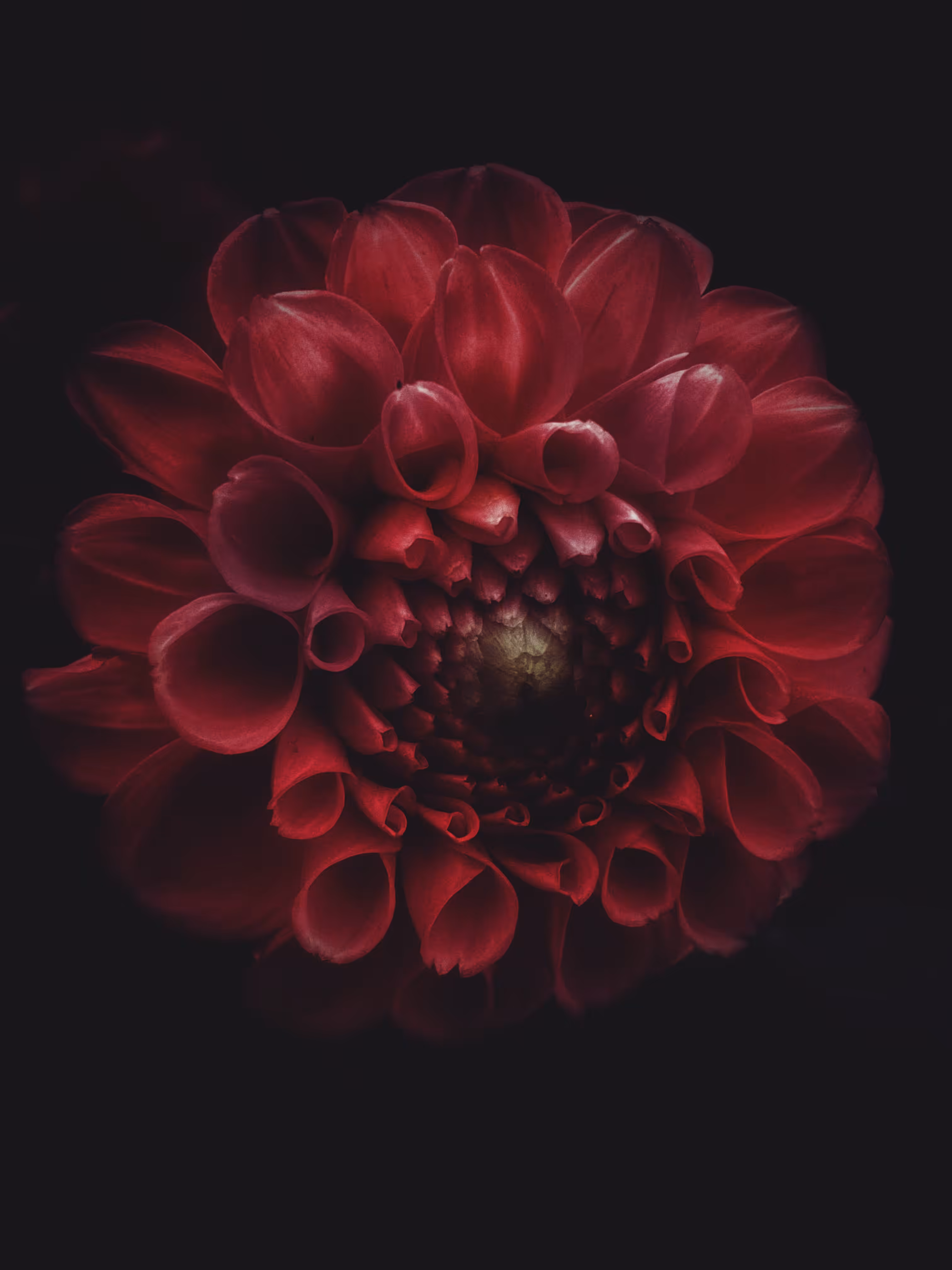 Dark Whispers