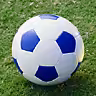 Display Picture