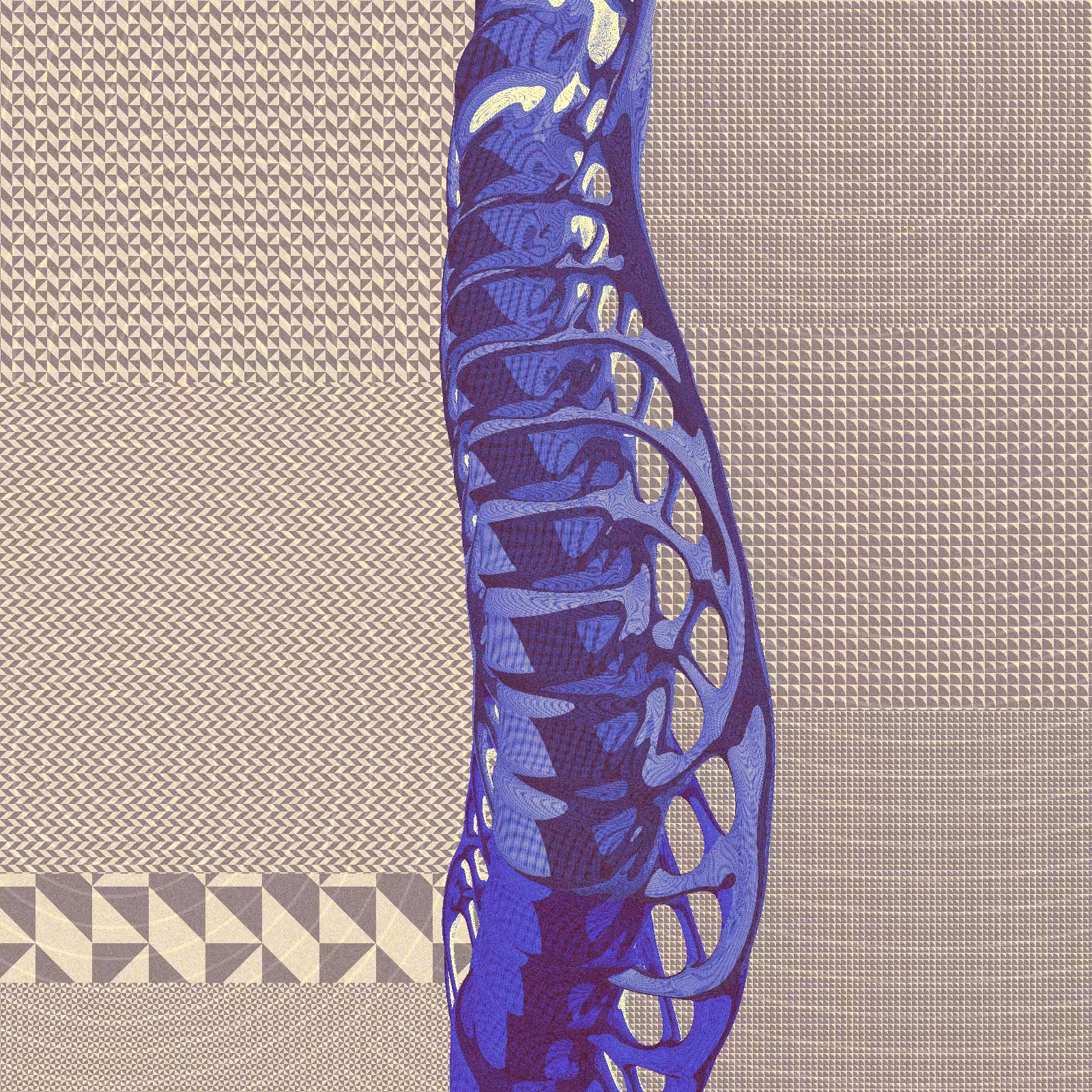 Long, Thin, Tubular Structure #24