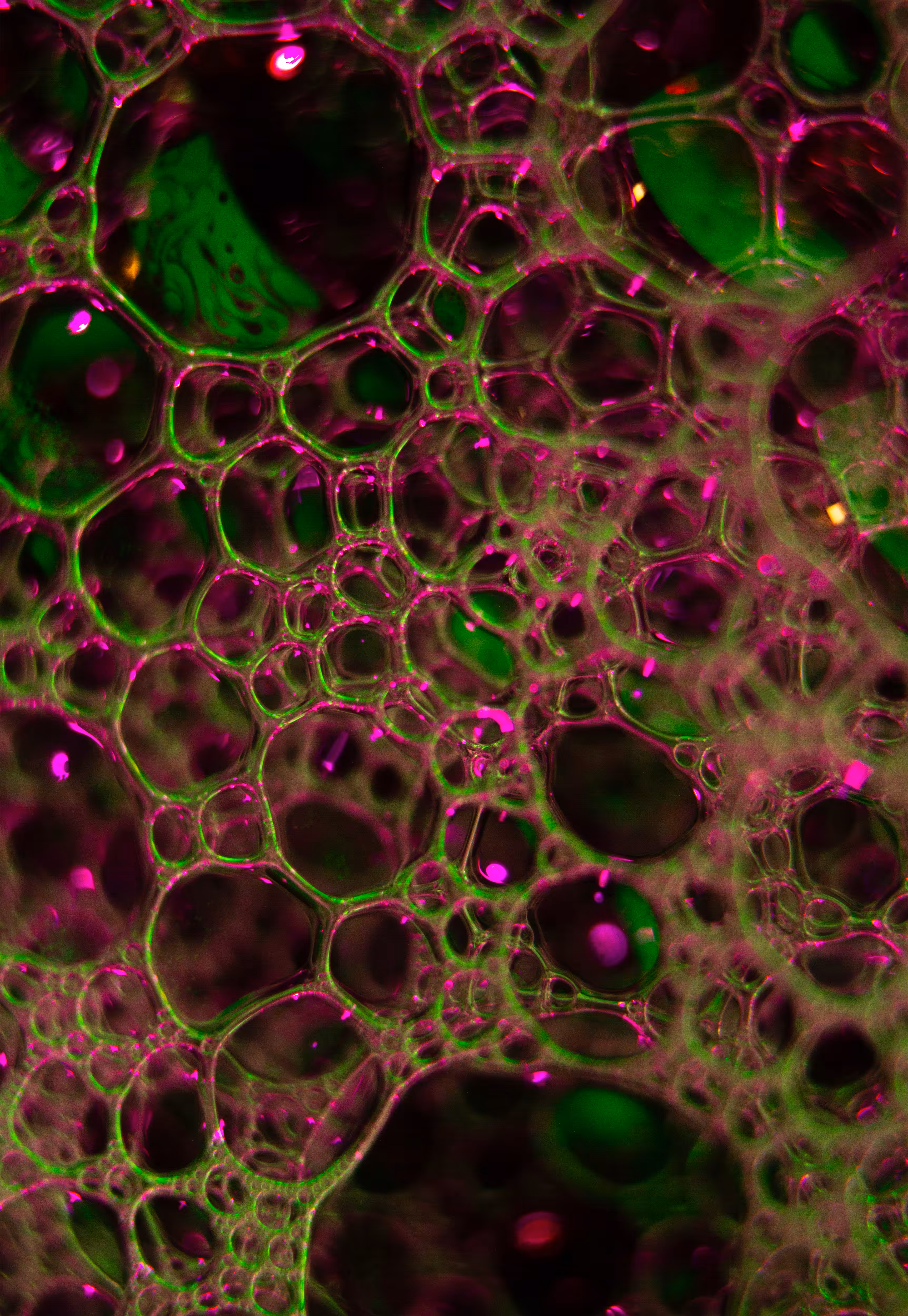 #42 Bubbles