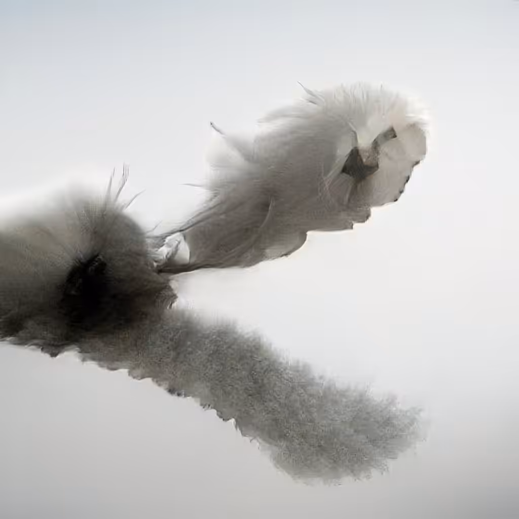 The Non-Human Artwork Project #117