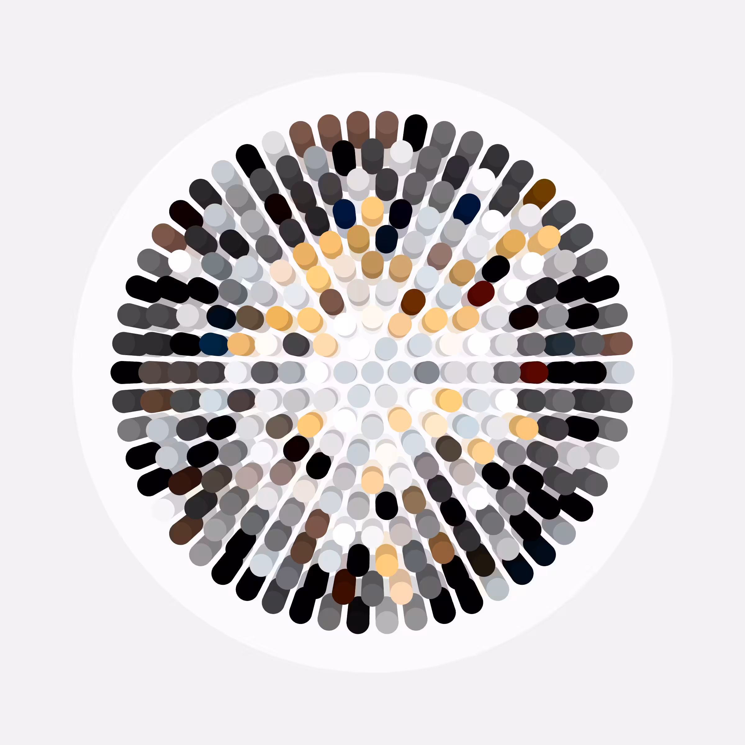 Transitions #2365