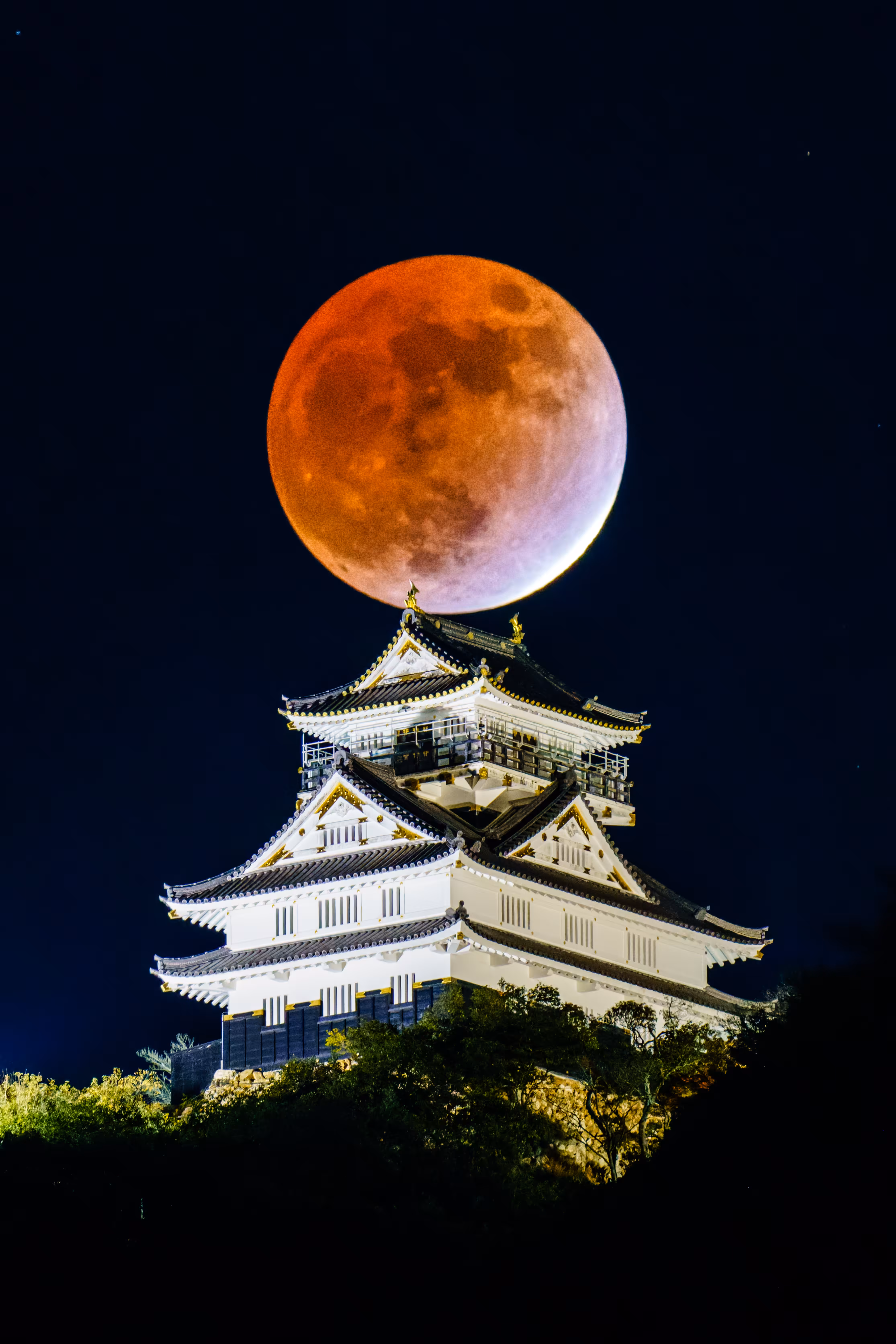 Moon and the Castle