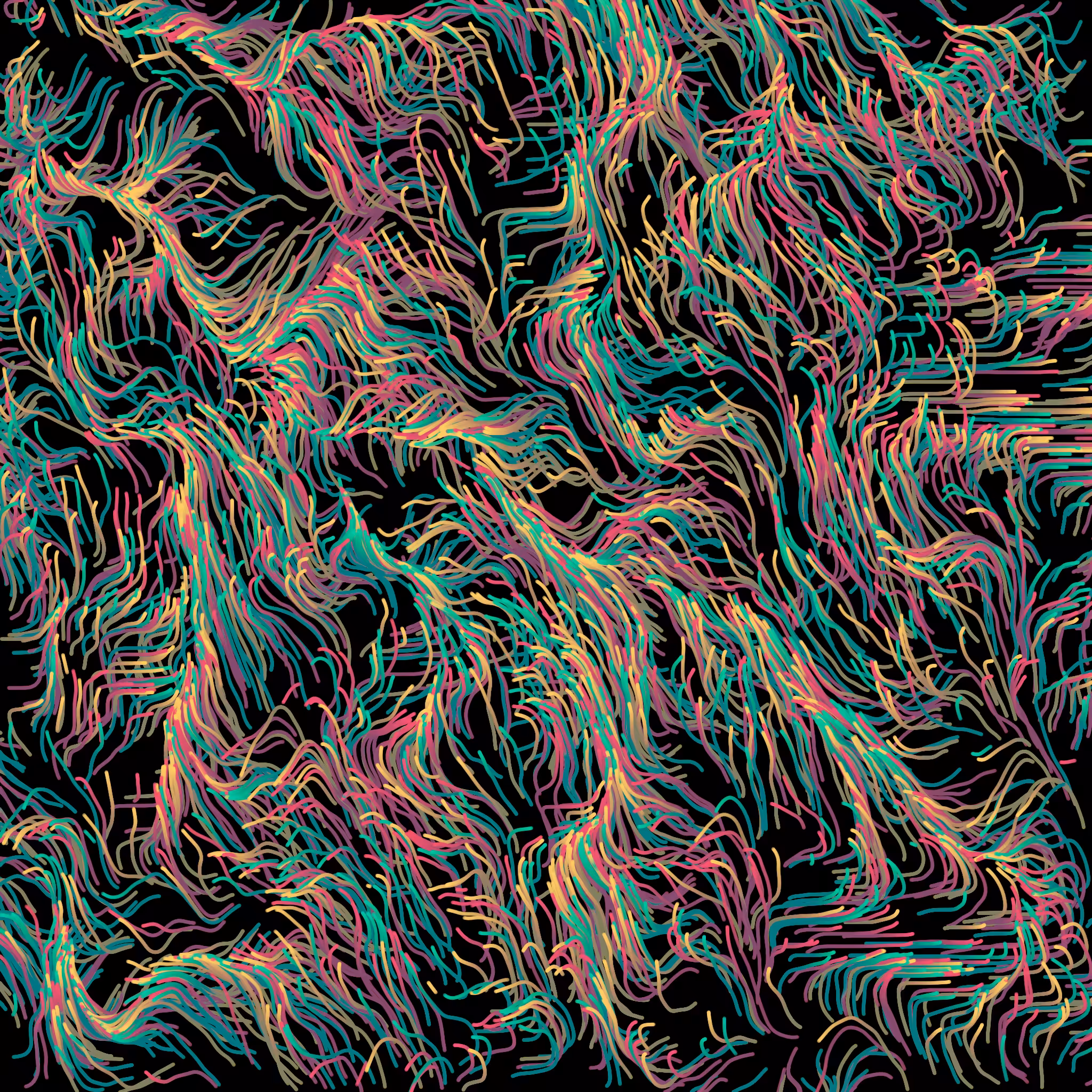 The Coral Reef #2