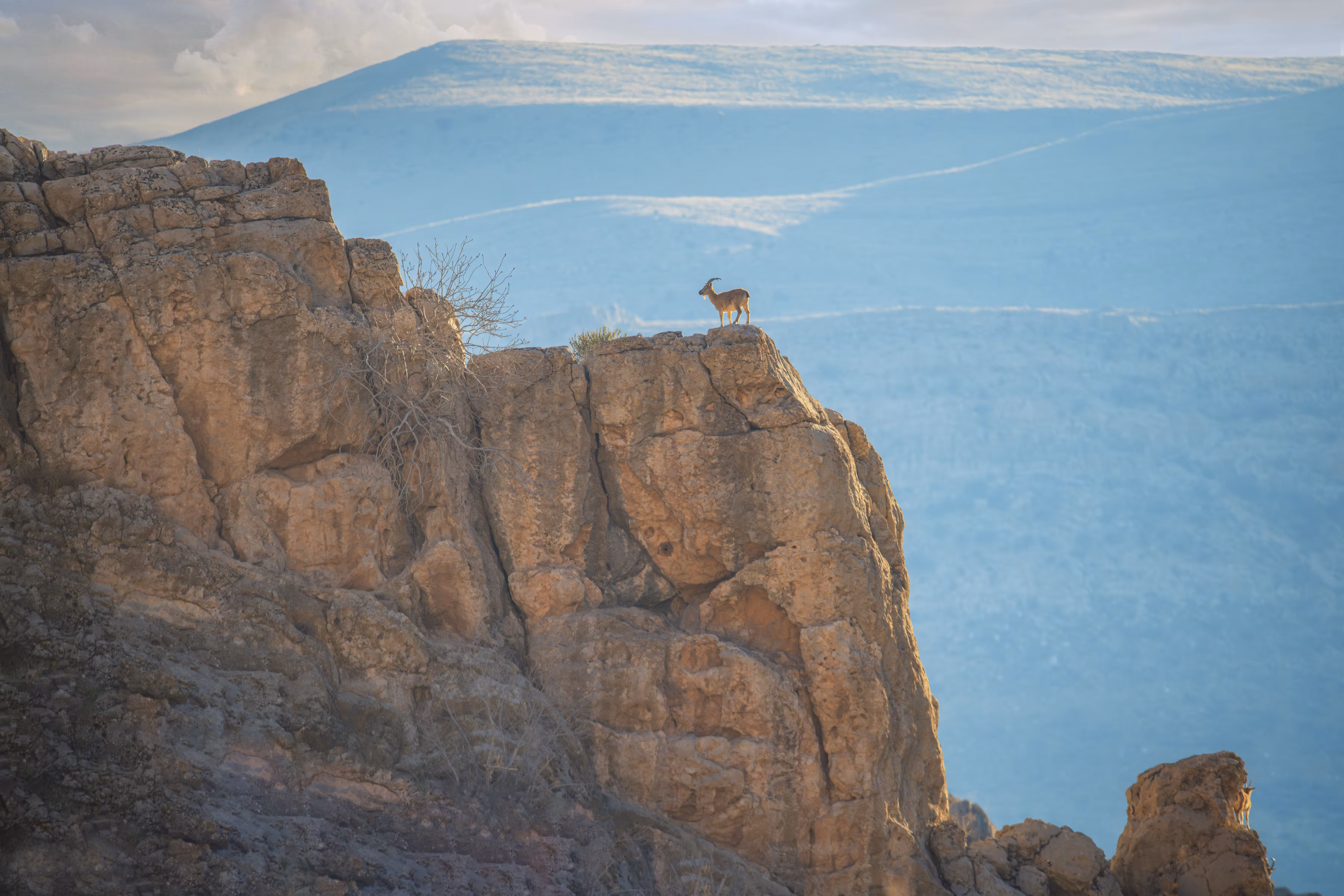 my photography: King of the mountain