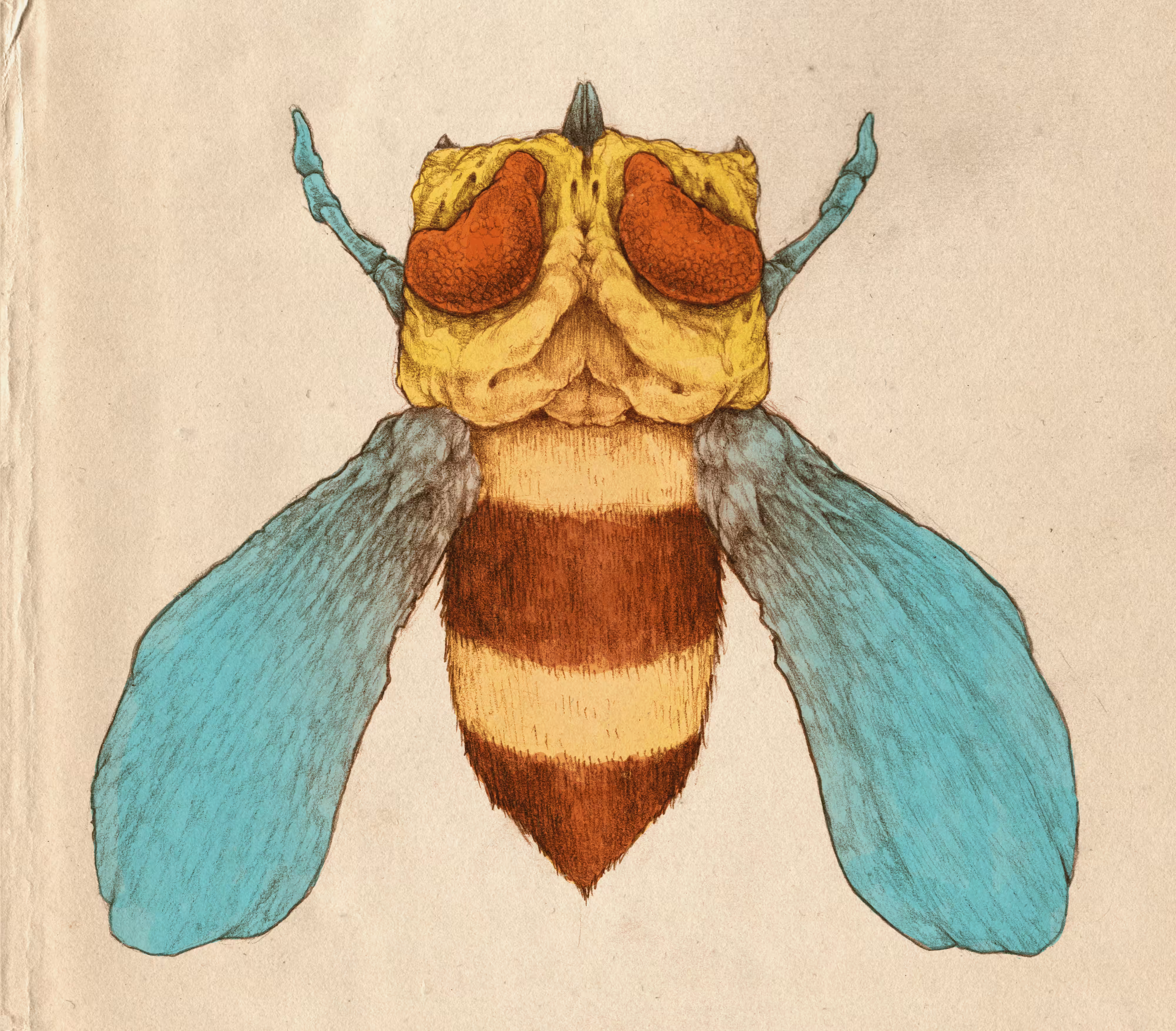 GALAGA Zako Bee