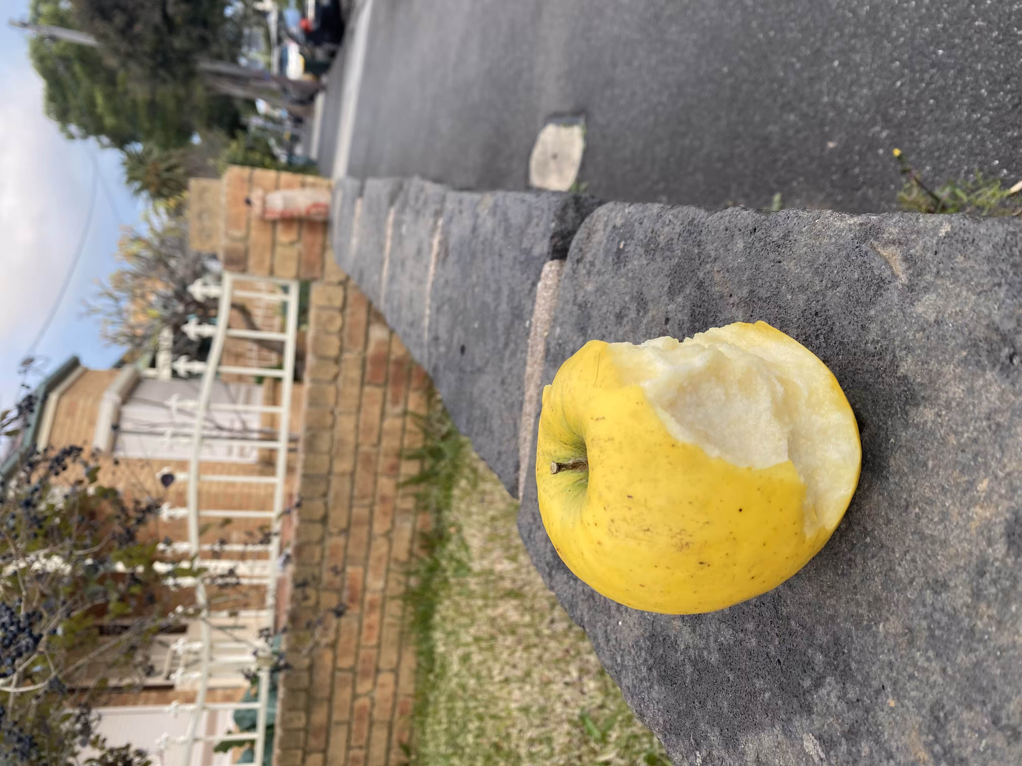 Abandoned 3 - breakfast of champions. 