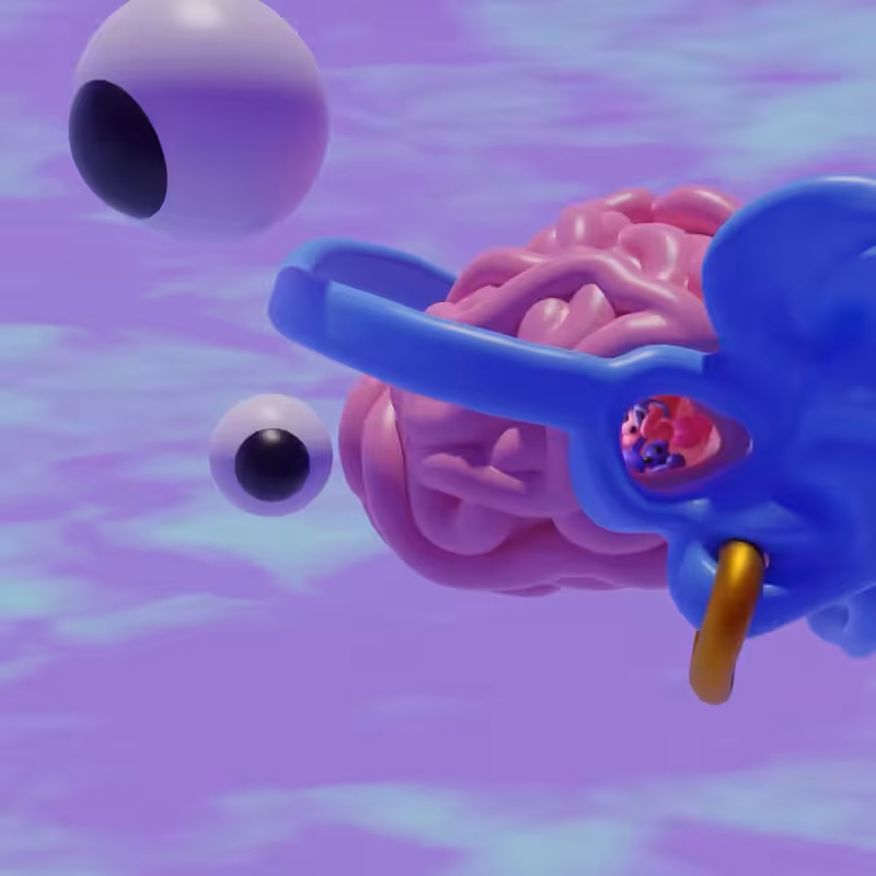 A Look Inside My Brain