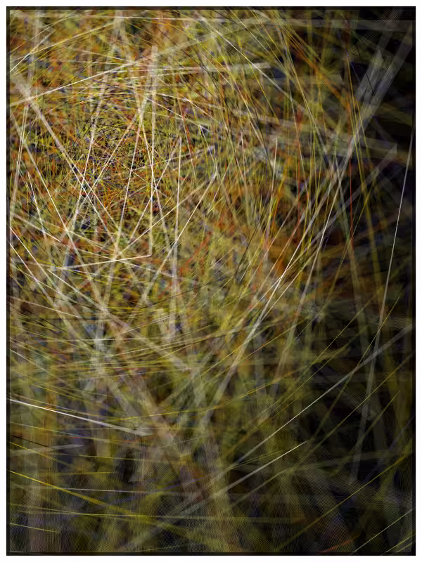 Haystack in a Needle #37