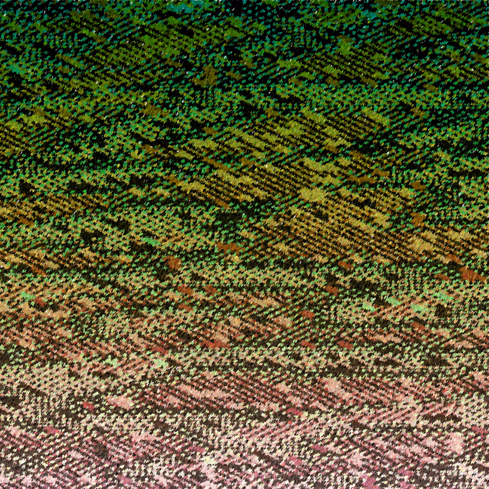 Agave & Patchwork #60