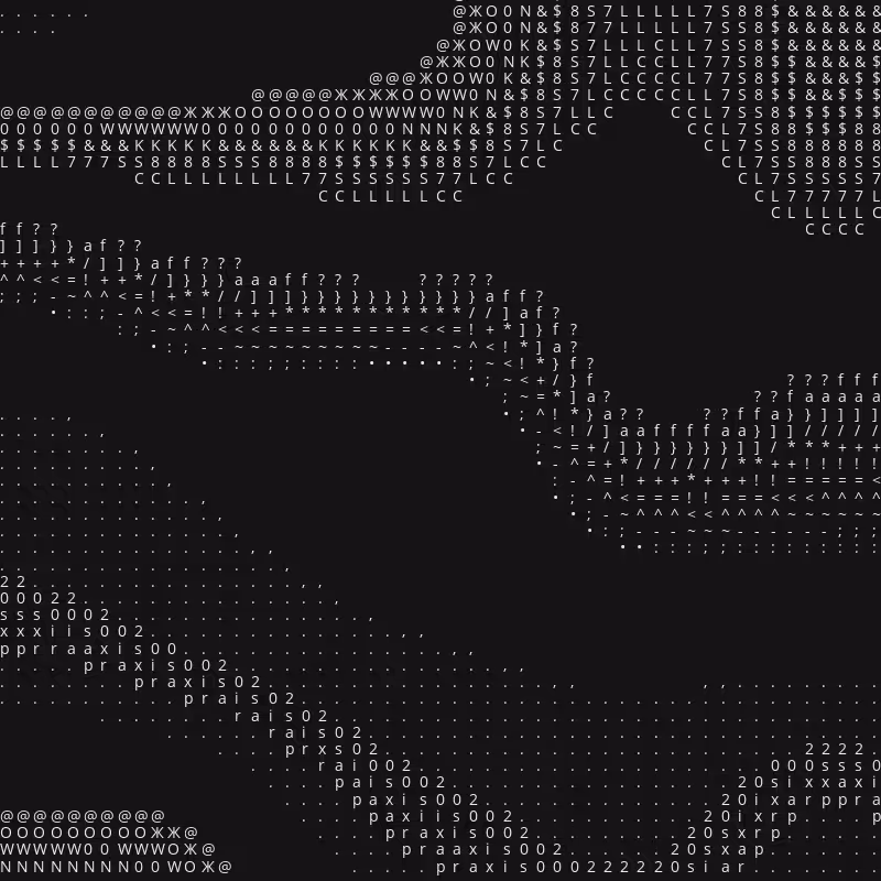 Praxis 002 #28
