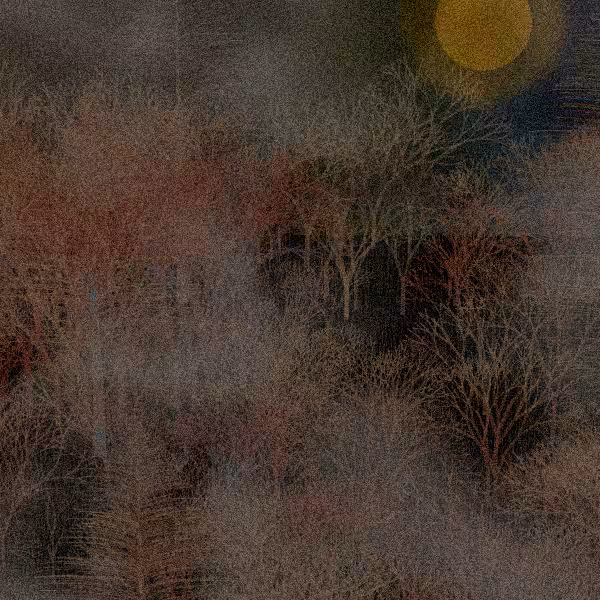 Moonlit Native Bush #105