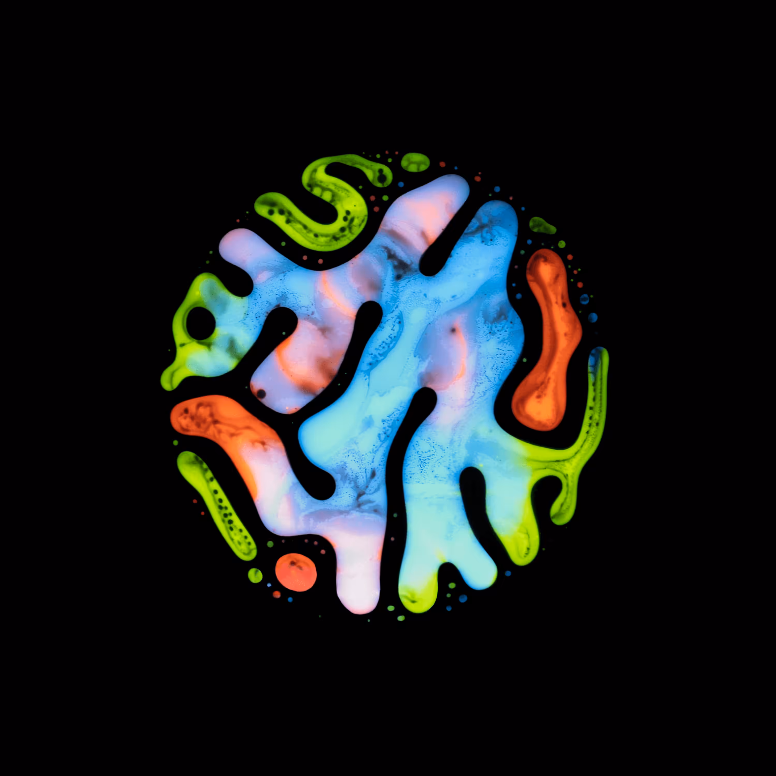 Haematopoiesis #8