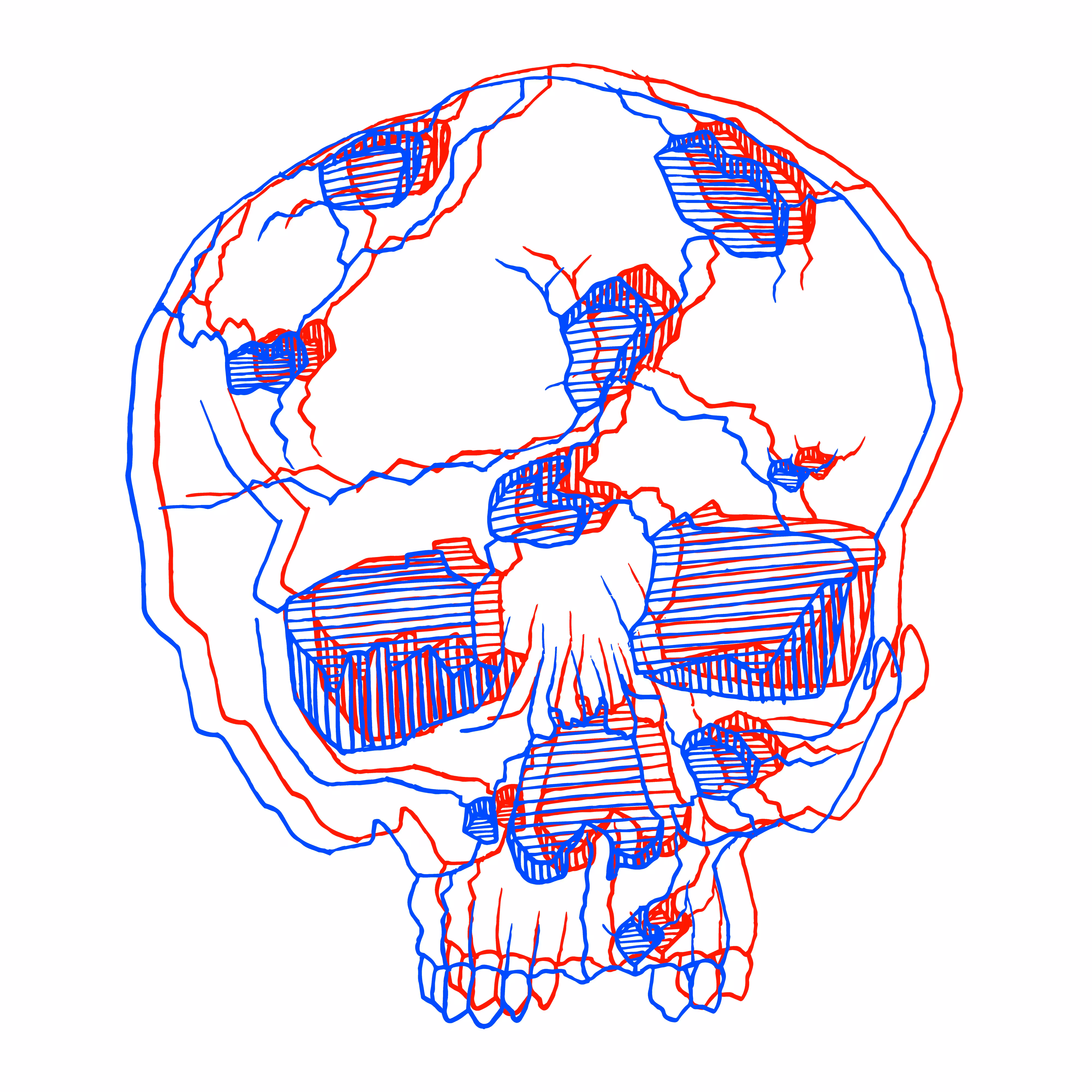 3D Skull