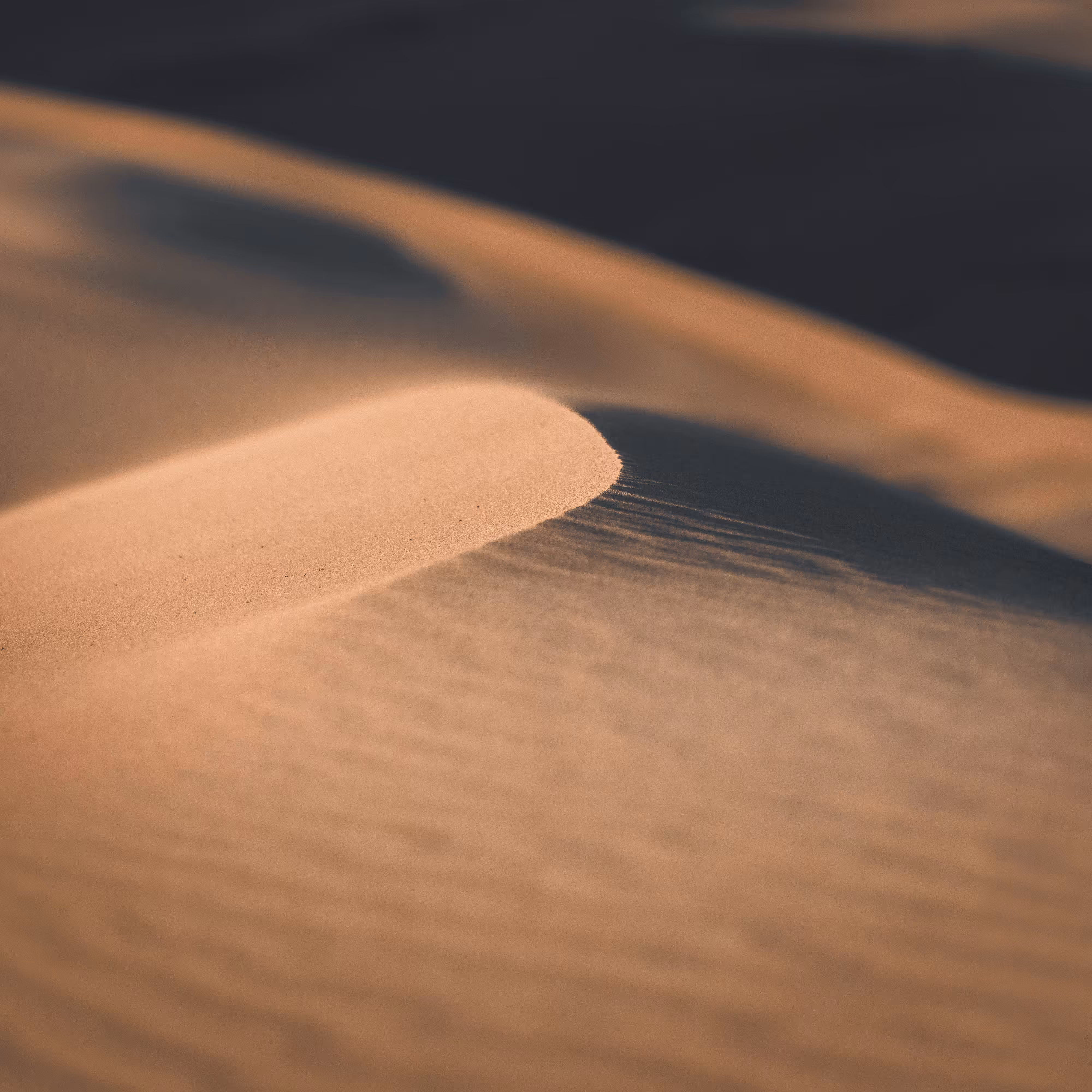 DUNE - 10, focus