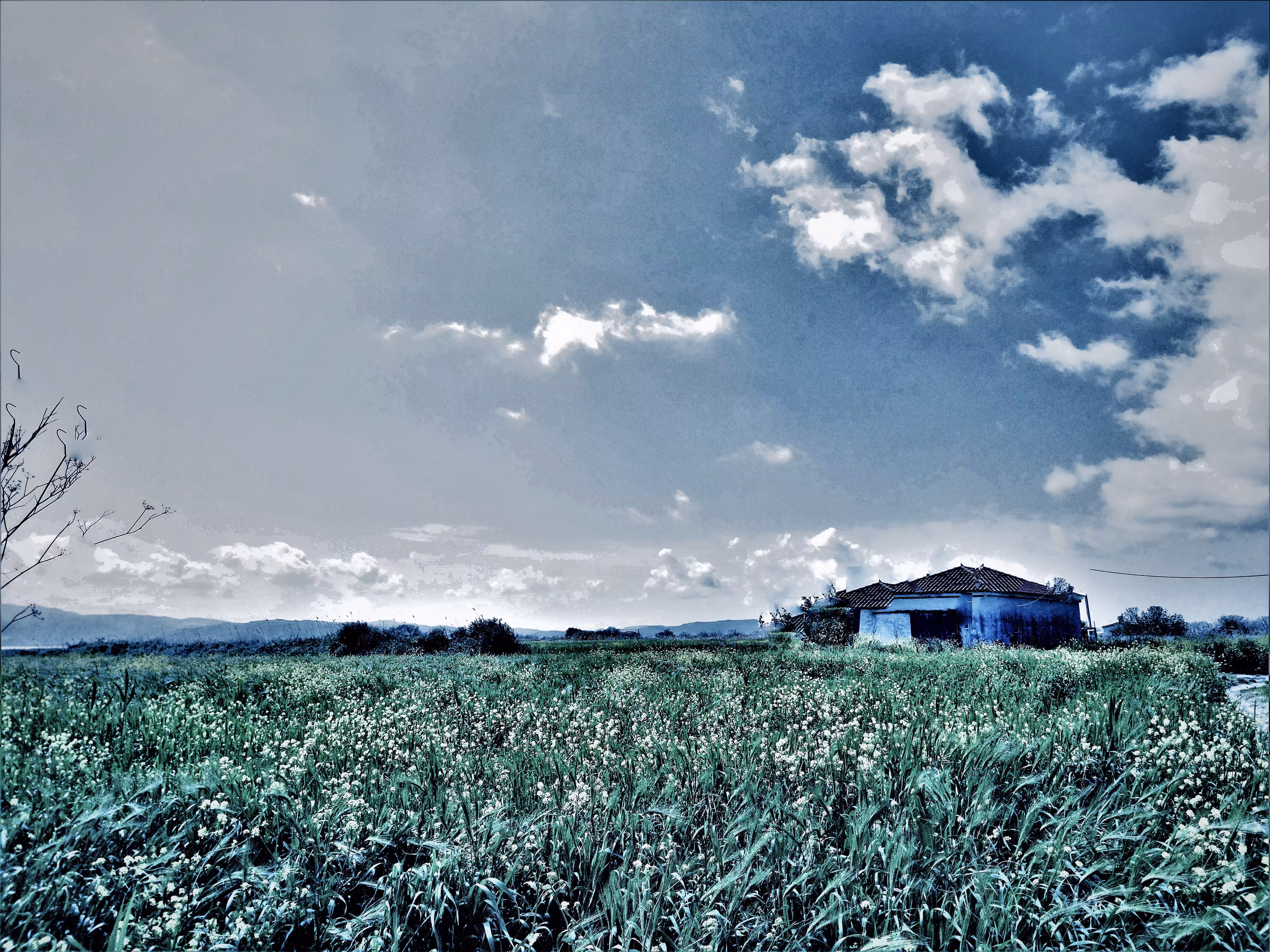grotesq photography