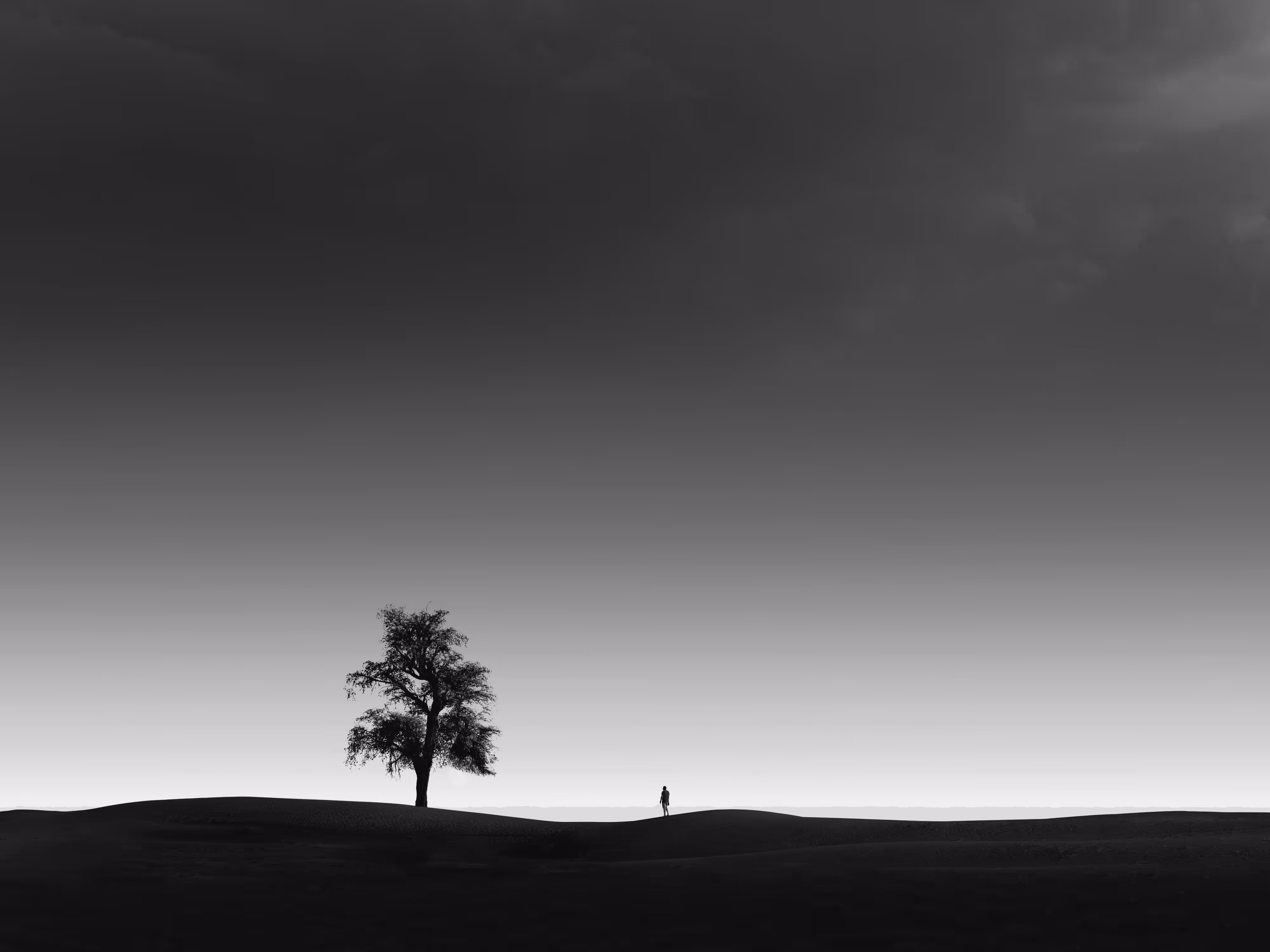 IN TO THE LIGHT: In To The Light 23/24
