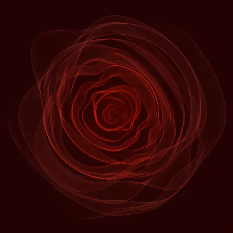 Roses #5