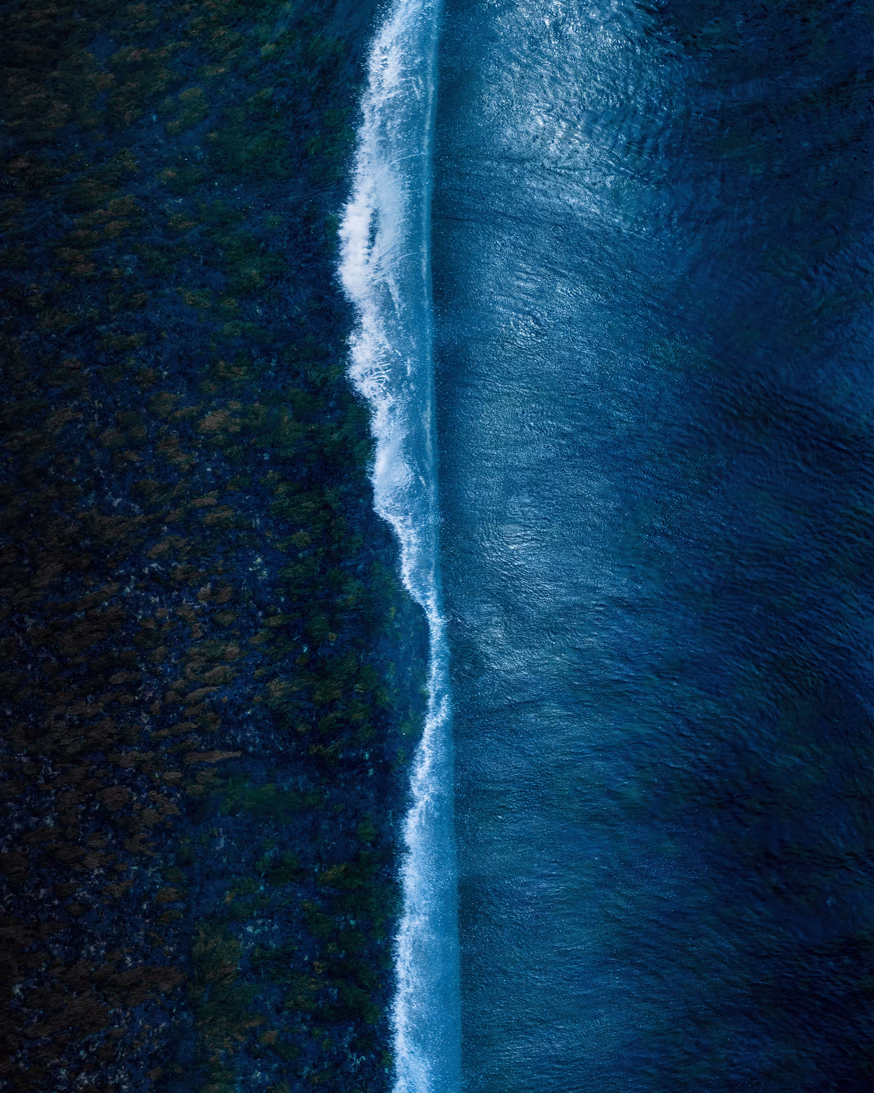 Low Tide