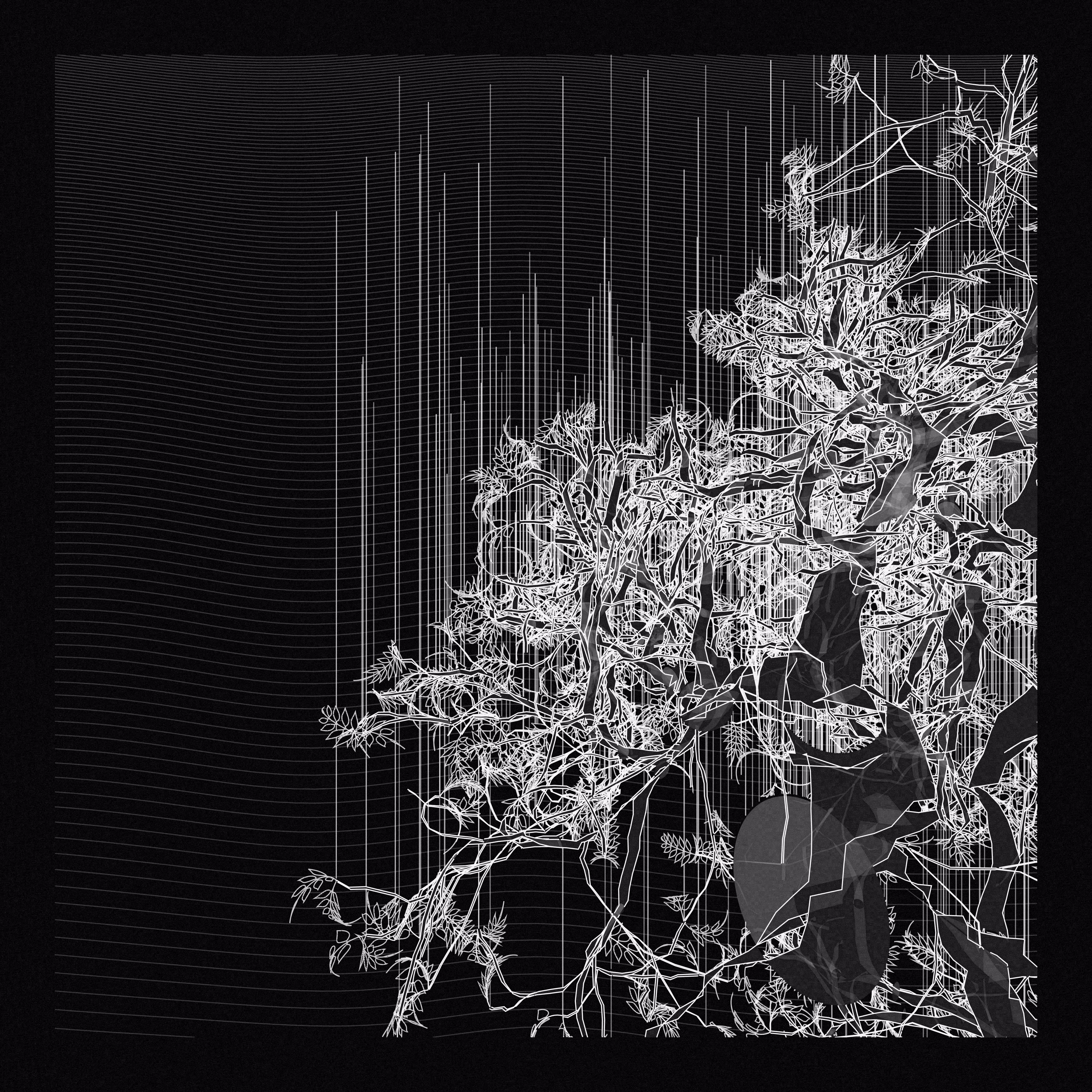 A Bugged Forest #975
