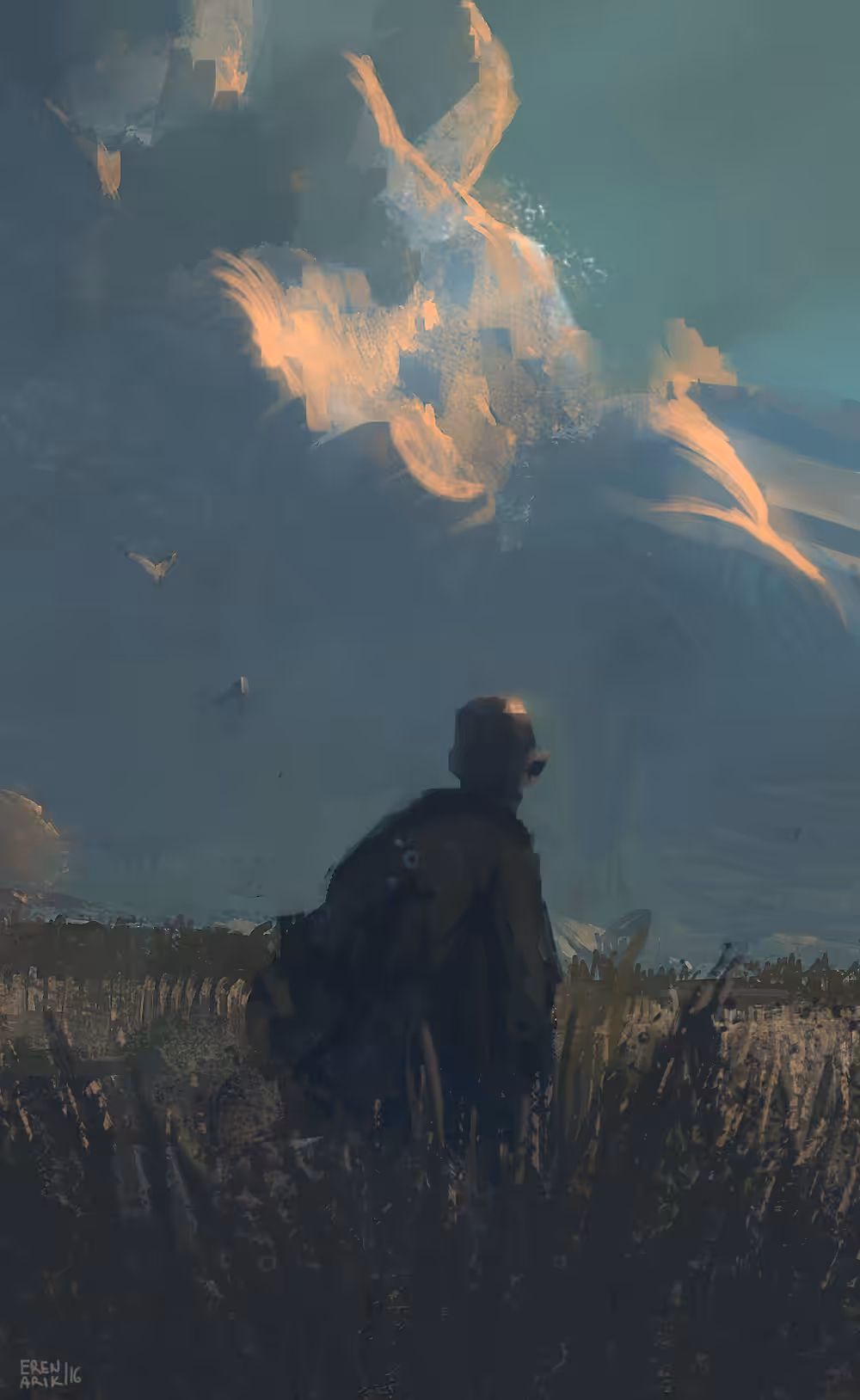 Cornfield