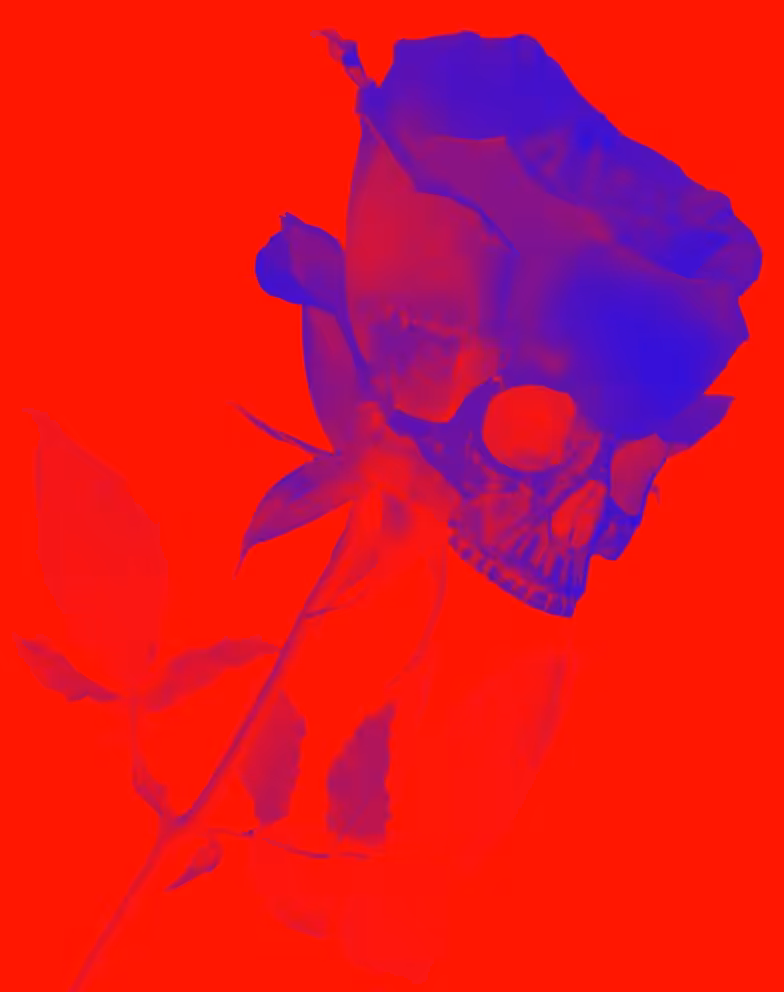 Mon Amie La Rose - Ecarlate