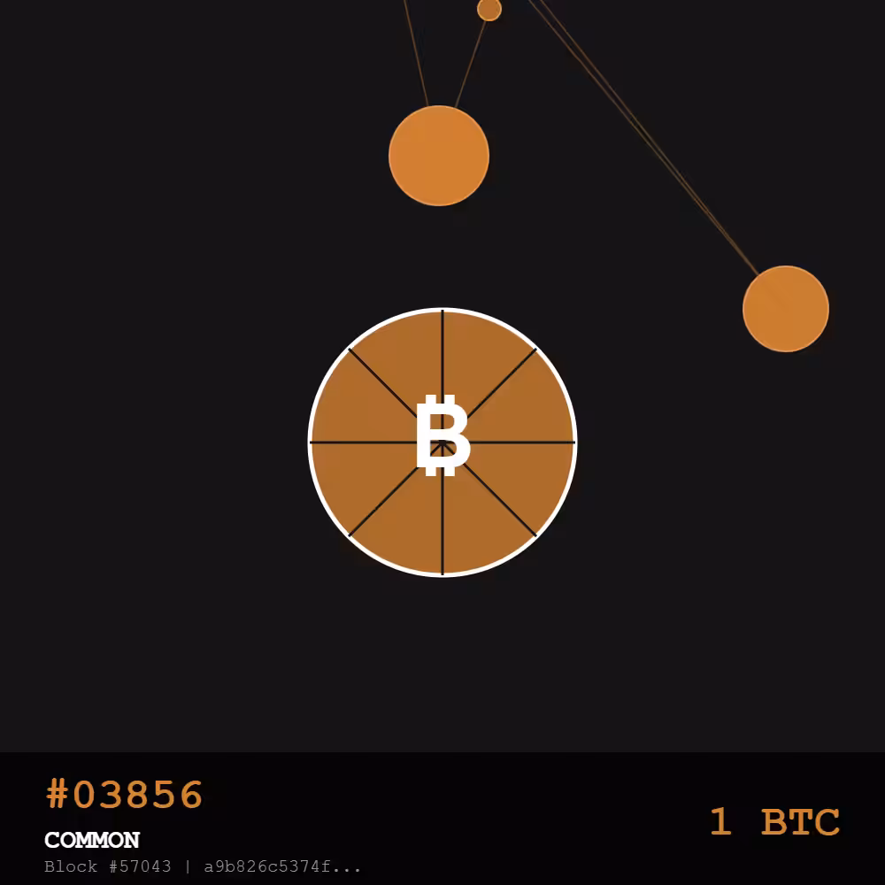 🍕 Bitcoin Pizza Genesis: 10K — COMMON #03856