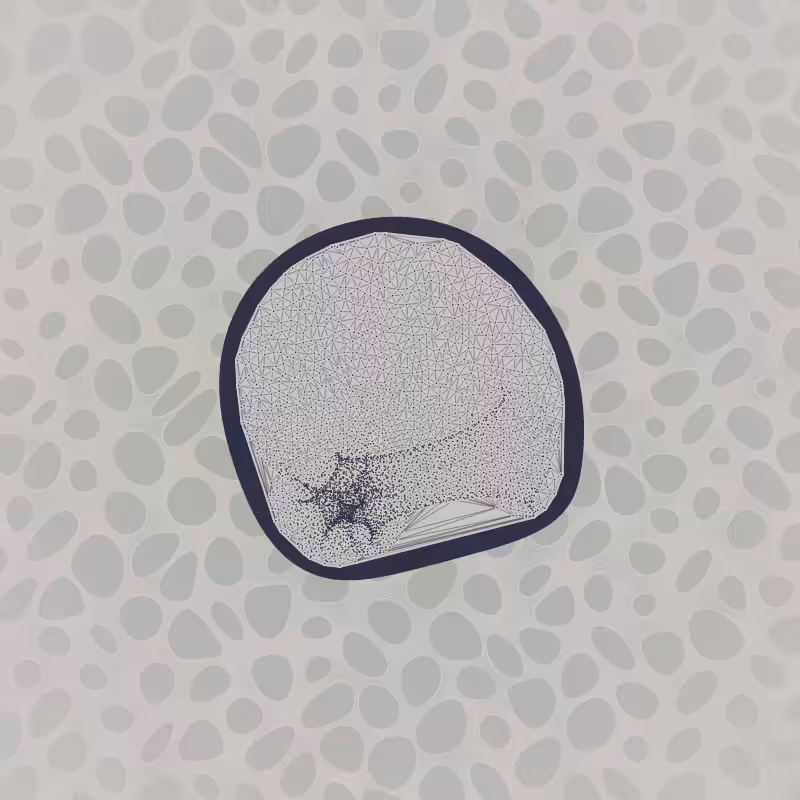 Protista #16