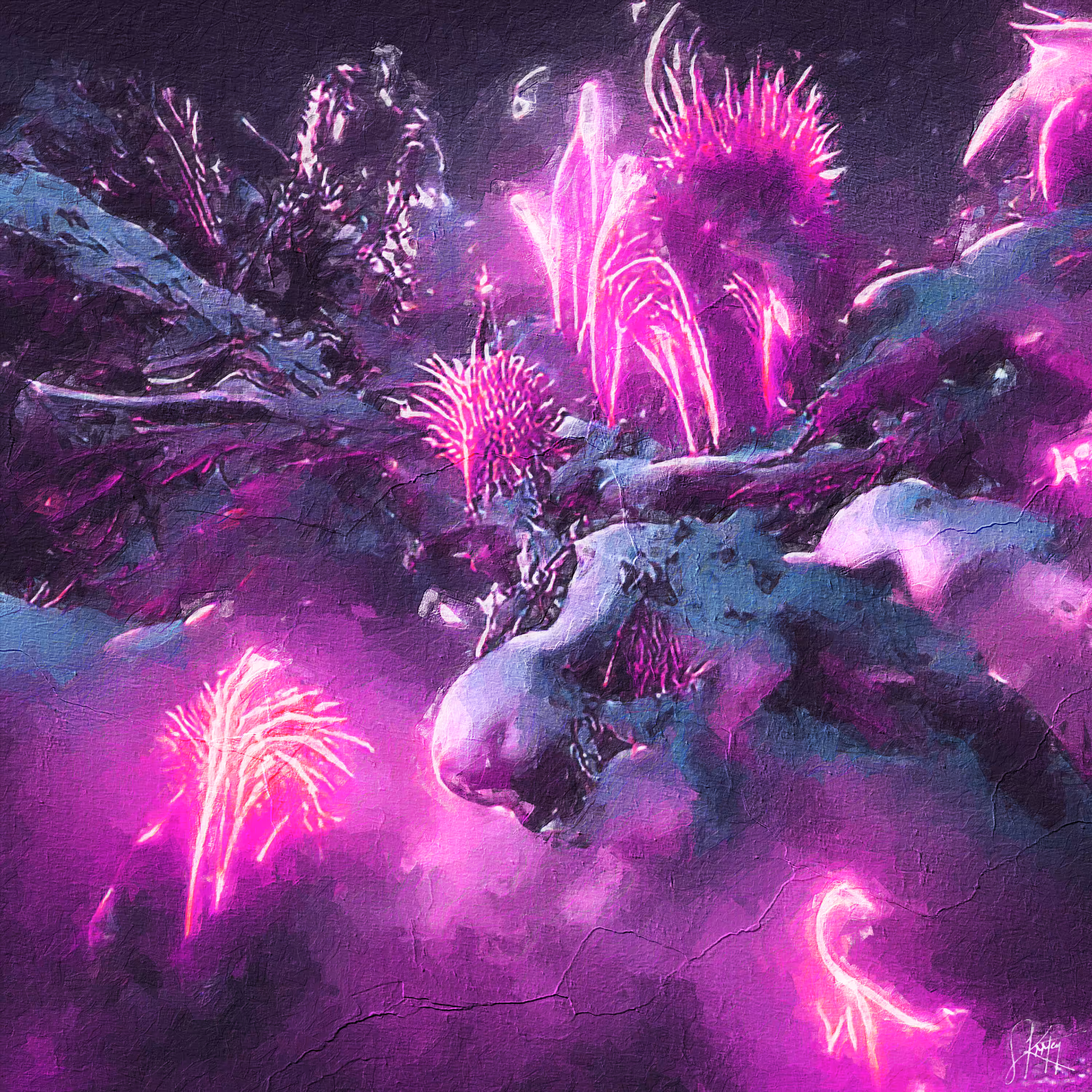 fireworks