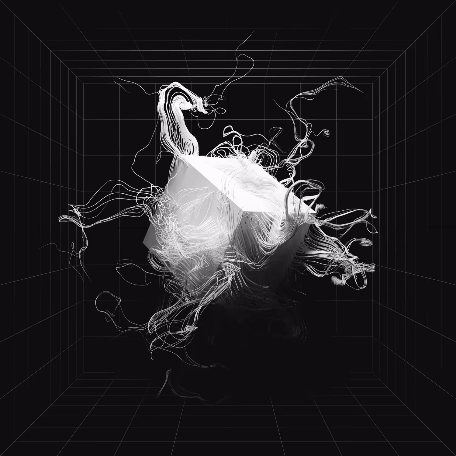 data prompt 11