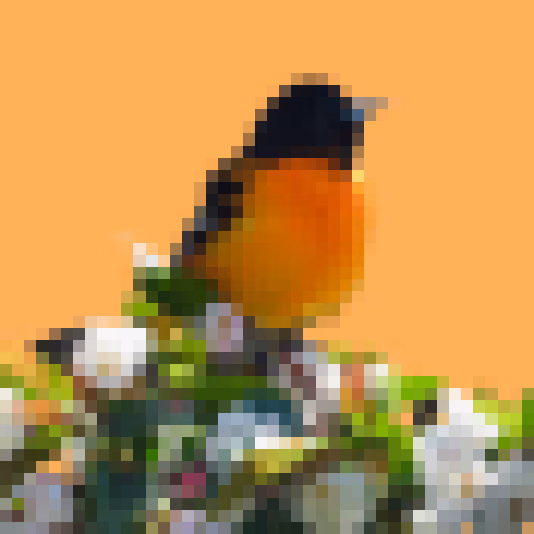 PixlBird #031