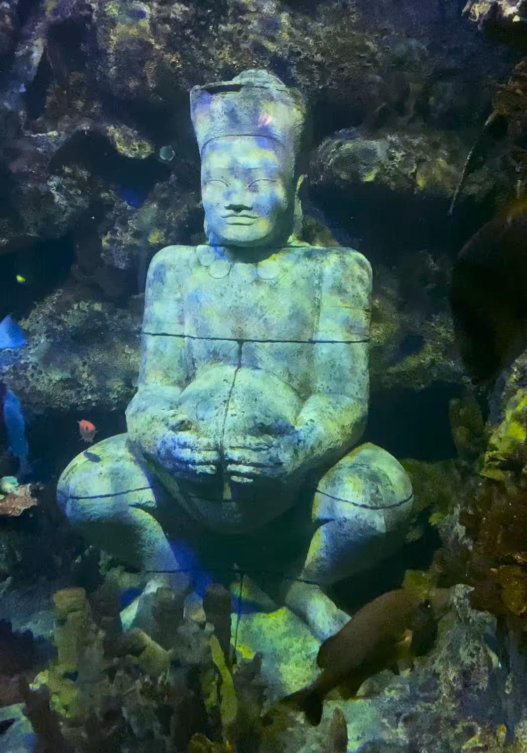 Peaceful Buddha