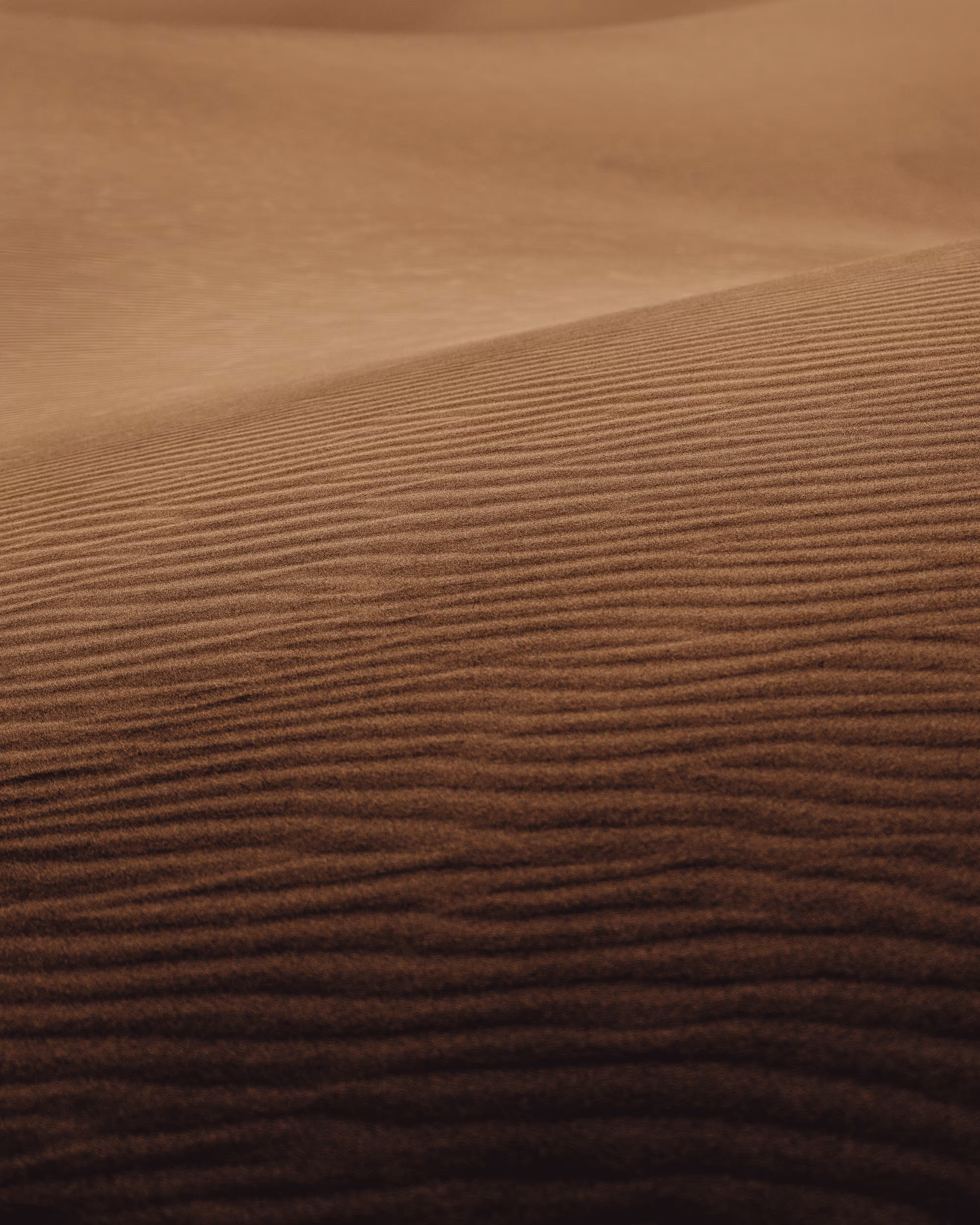 Dune: The Collection #3